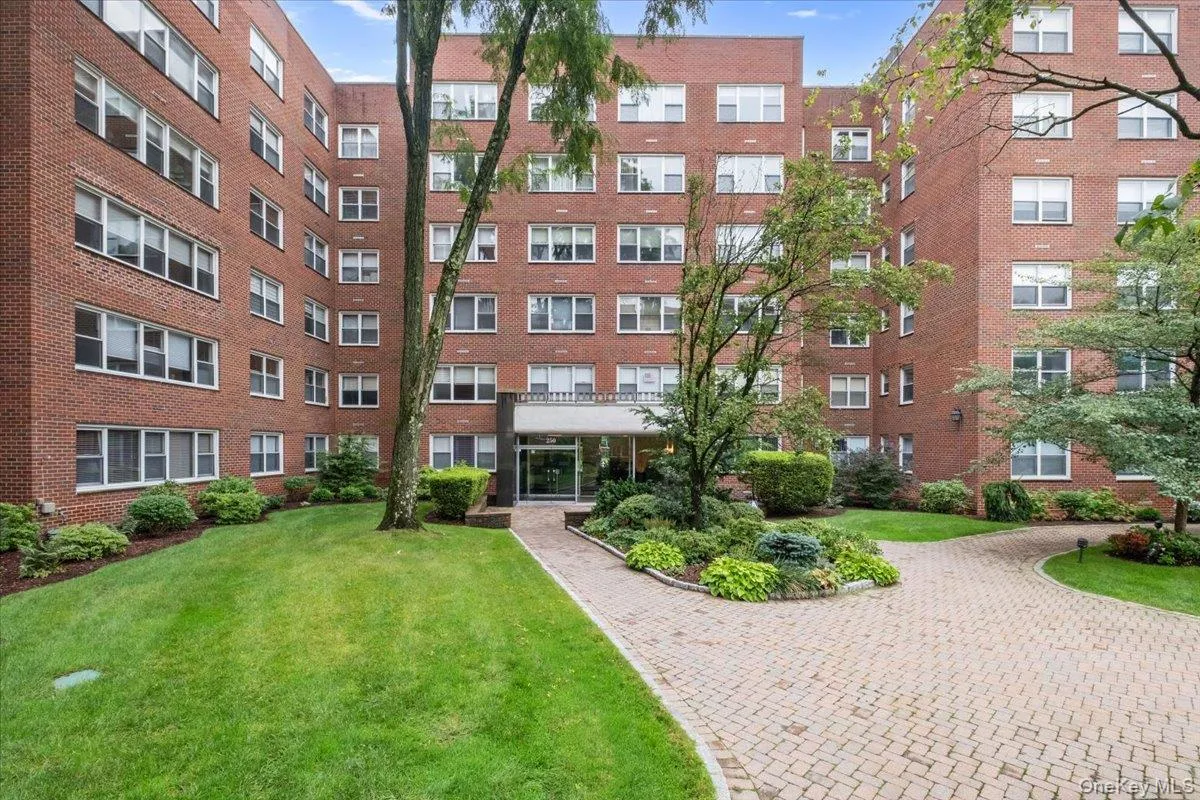 250 Garth Road, Eastchester, NY, 1 Bedroom Bedrooms, 3 Rooms Rooms,1 BathroomBathrooms,Residential,For Rent,Garth,0,1044211 250 Garth Road, Eastchester, NY, 1 Bedroom Bedrooms, 3 Rooms Rooms,1 BathroomBathrooms,Residential,For Rent,Garth,0,1044211