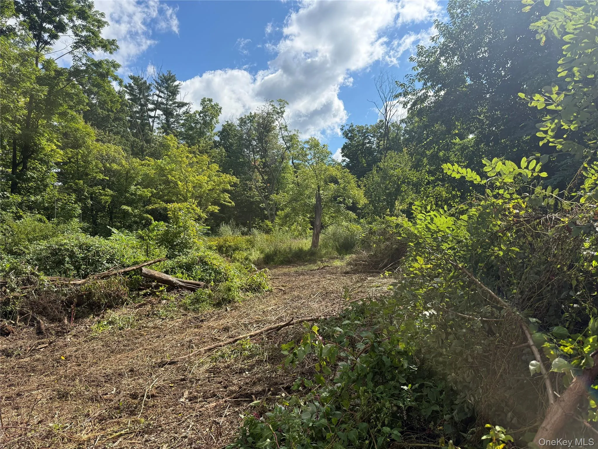 26 Fishkill Hook Road, East Fishkill, NY, ,Land,For Rent,Fishkill Hook,0,1044232 26 Fishkill Hook Road, East Fishkill, NY, ,Land,For Rent,Fishkill Hook,0,1044232