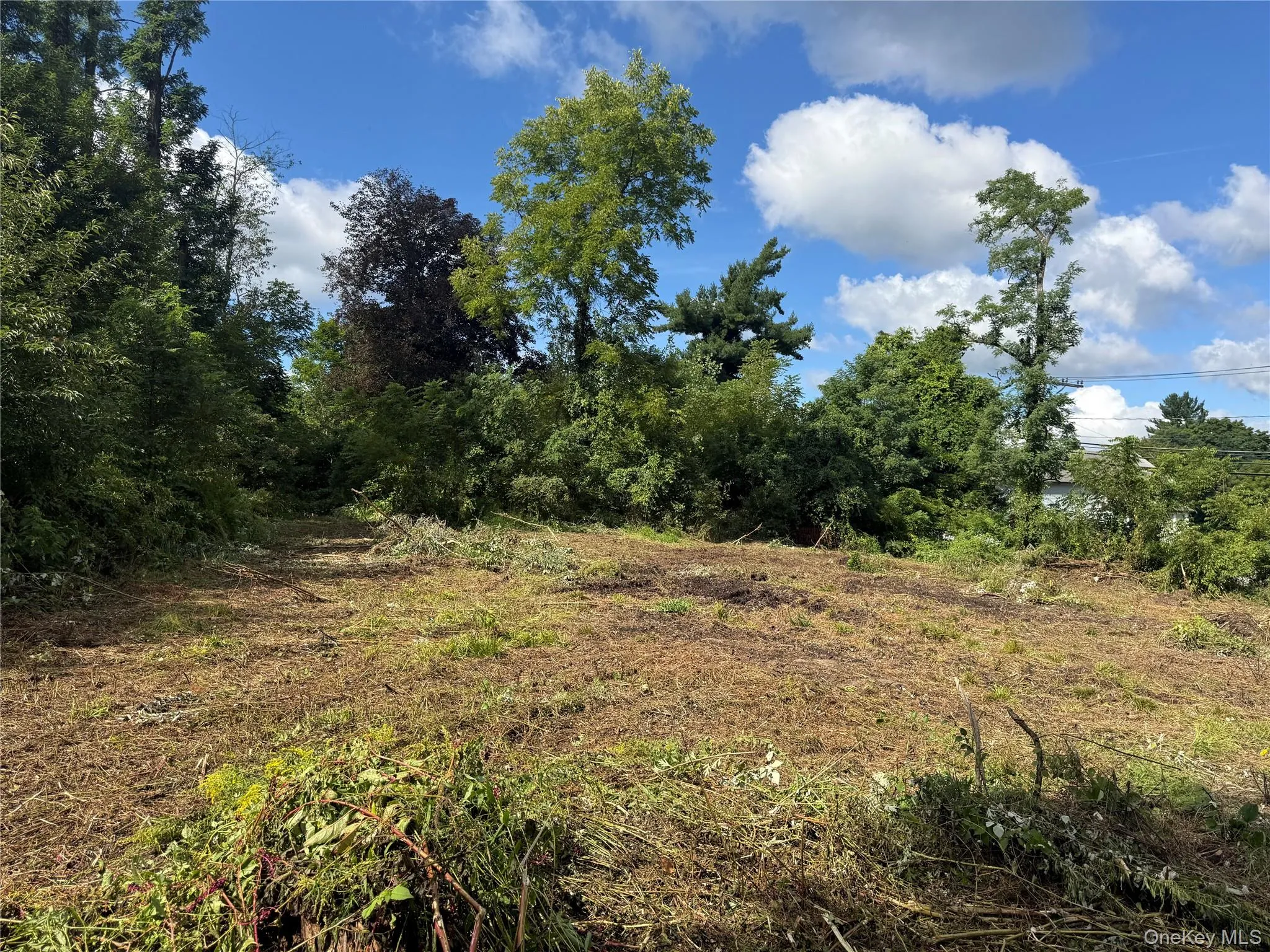 26 Fishkill Hook Road, East Fishkill, NY, ,Land,For Rent,Fishkill Hook,0,1044232 26 Fishkill Hook Road, East Fishkill, NY, ,Land,For Rent,Fishkill Hook,0,1044232