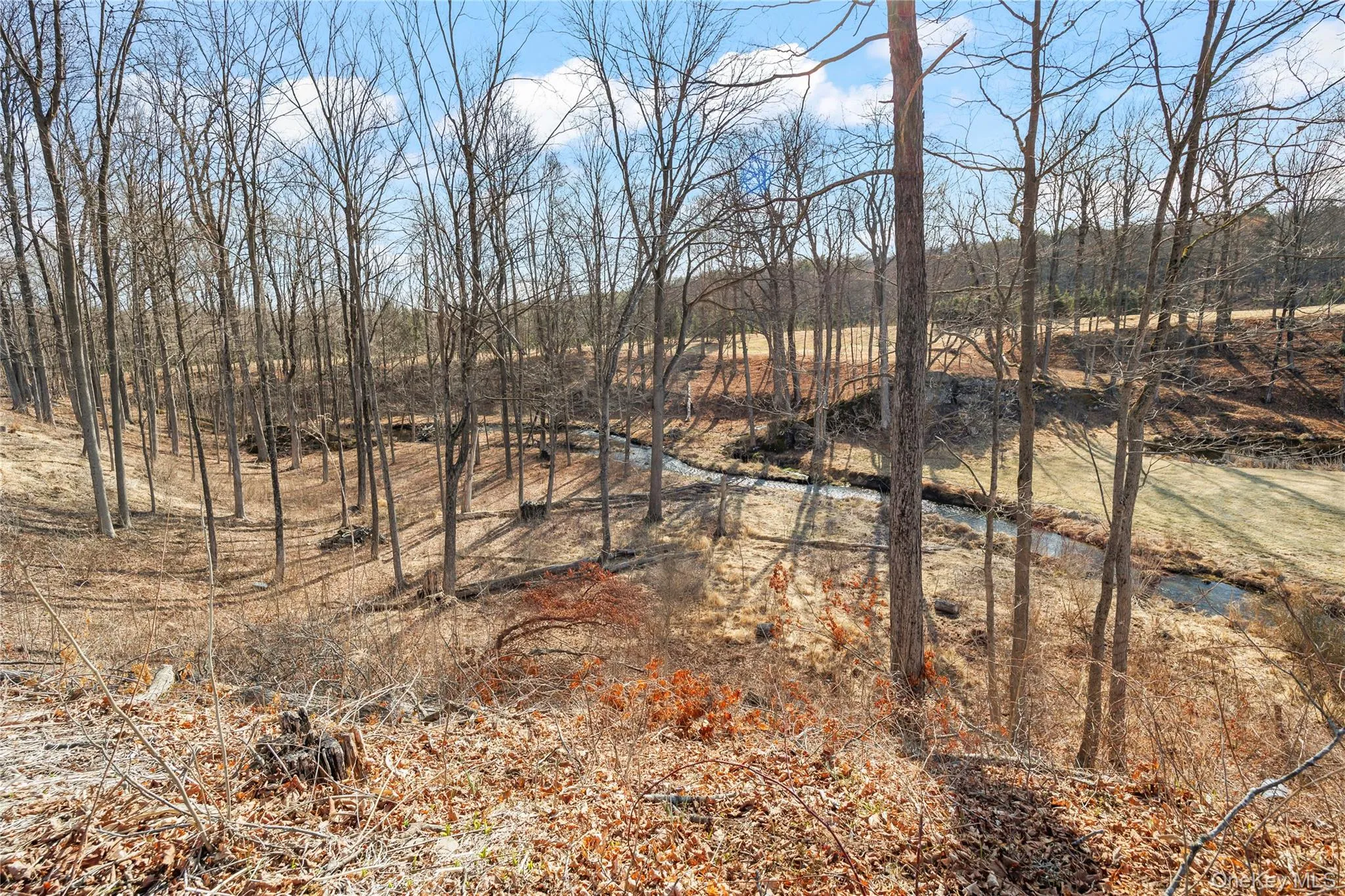 Iconic Landsman Kill runs through the property Iconic Landsman Kill runs through the property