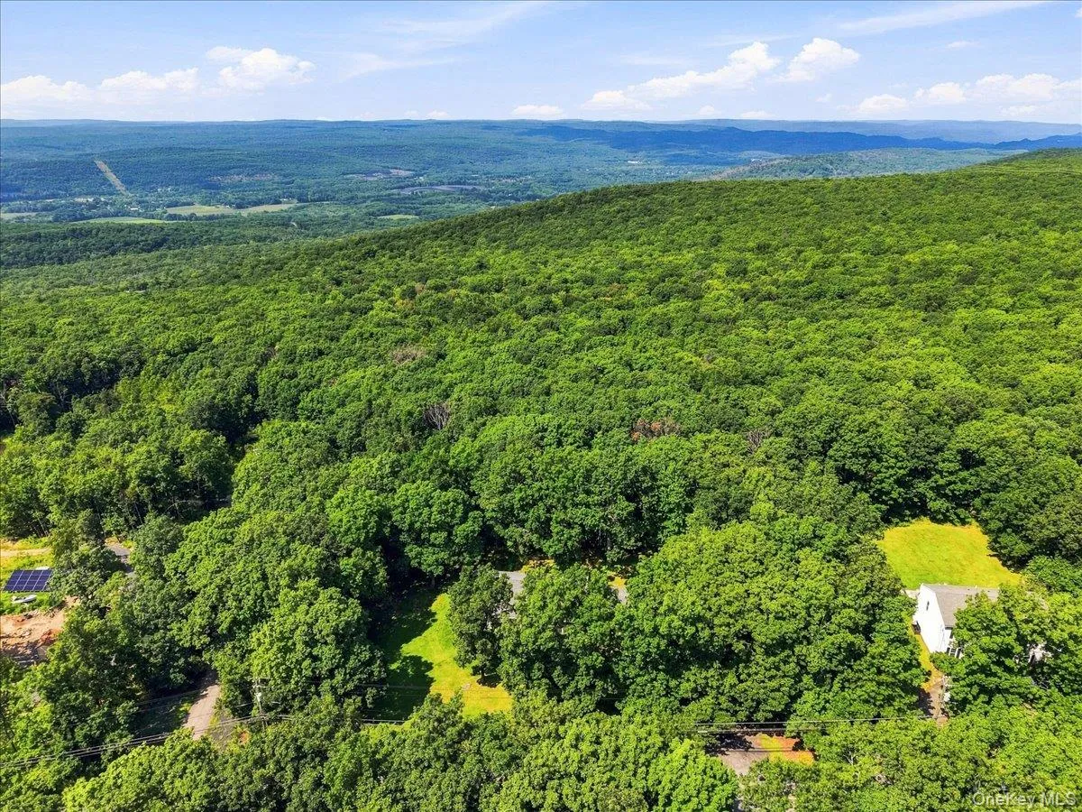 Property adjoins the state forest for quiet hikes and peaceful relaxation. Property adjoins the state forest for quiet hikes and peaceful relaxation.