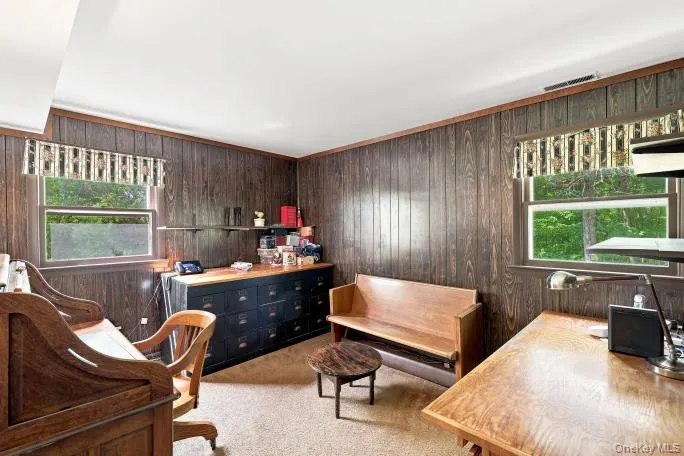 Wood paneling on walls, white ceiling, two windows, built-in shelving, and carpeted flooring Wood paneling on walls, white ceiling, two windows, built-in shelving, and carpeted flooring