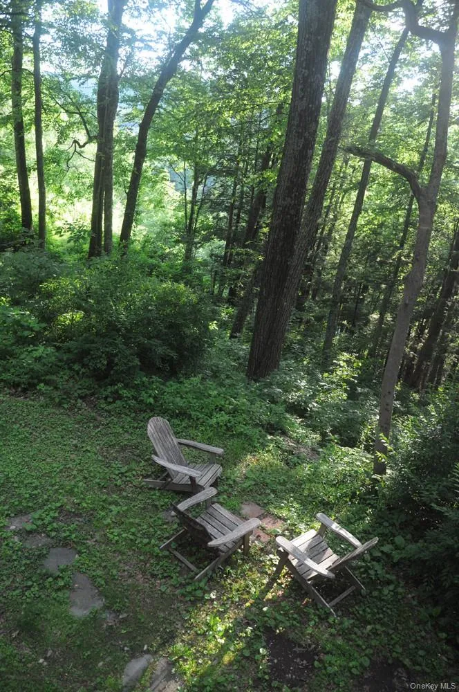 small yard small yard