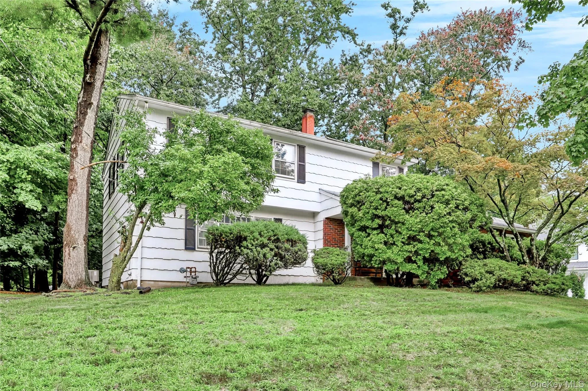9 Bluejay Street, Ramapo, NY, 4 Bedrooms Bedrooms, 10 Rooms Rooms,2 BathroomsBathrooms,Residential,For Rent,Bluejay,0,1044253 9 Bluejay Street, Ramapo, NY, 4 Bedrooms Bedrooms, 10 Rooms Rooms,2 BathroomsBathrooms,Residential,For Rent,Bluejay,0,1044253