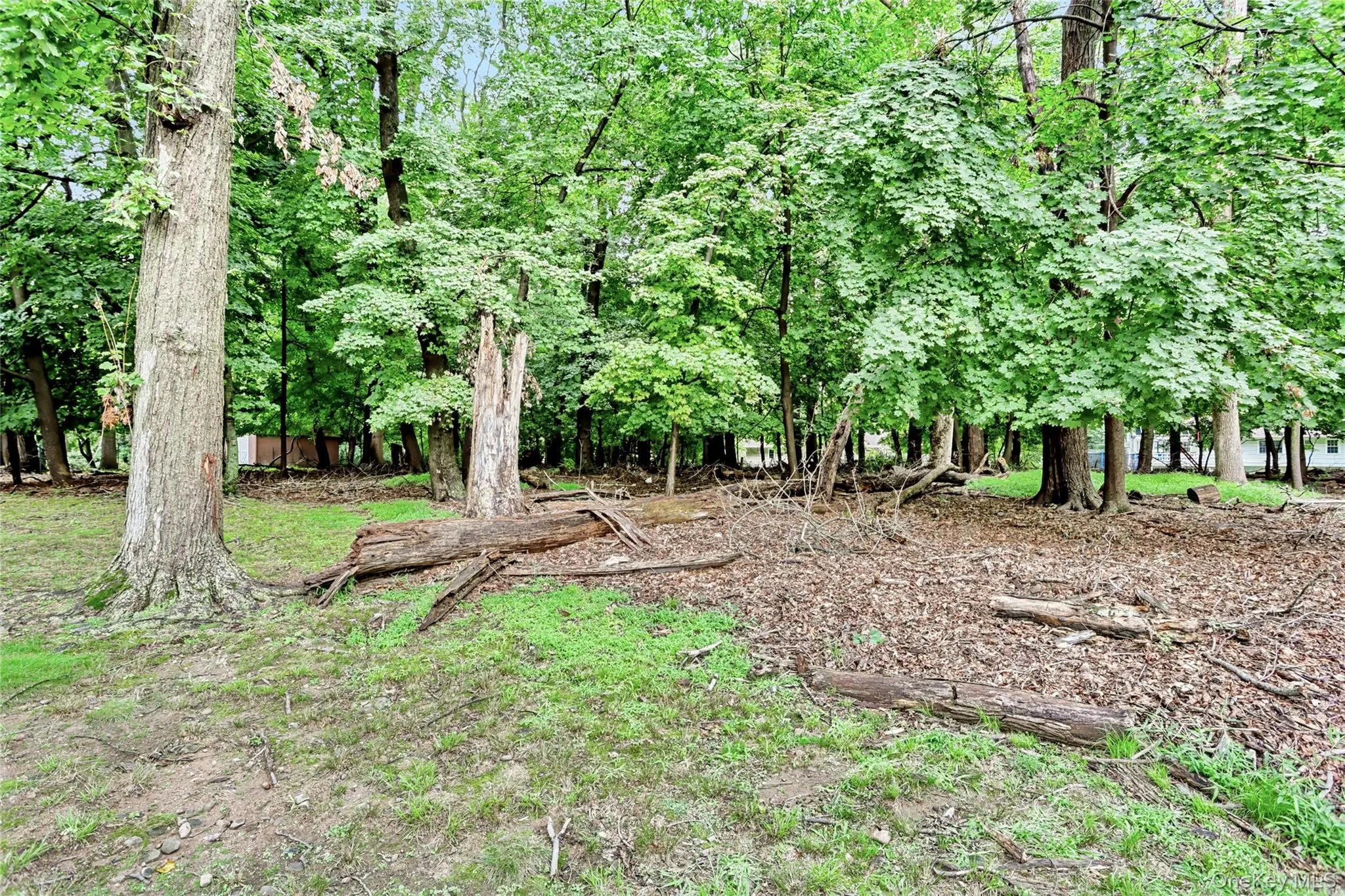 9 Bluejay Street, Ramapo, NY, 4 Bedrooms Bedrooms, 10 Rooms Rooms,2 BathroomsBathrooms,Residential,For Rent,Bluejay,0,1044253 9 Bluejay Street, Ramapo, NY, 4 Bedrooms Bedrooms, 10 Rooms Rooms,2 BathroomsBathrooms,Residential,For Rent,Bluejay,0,1044253