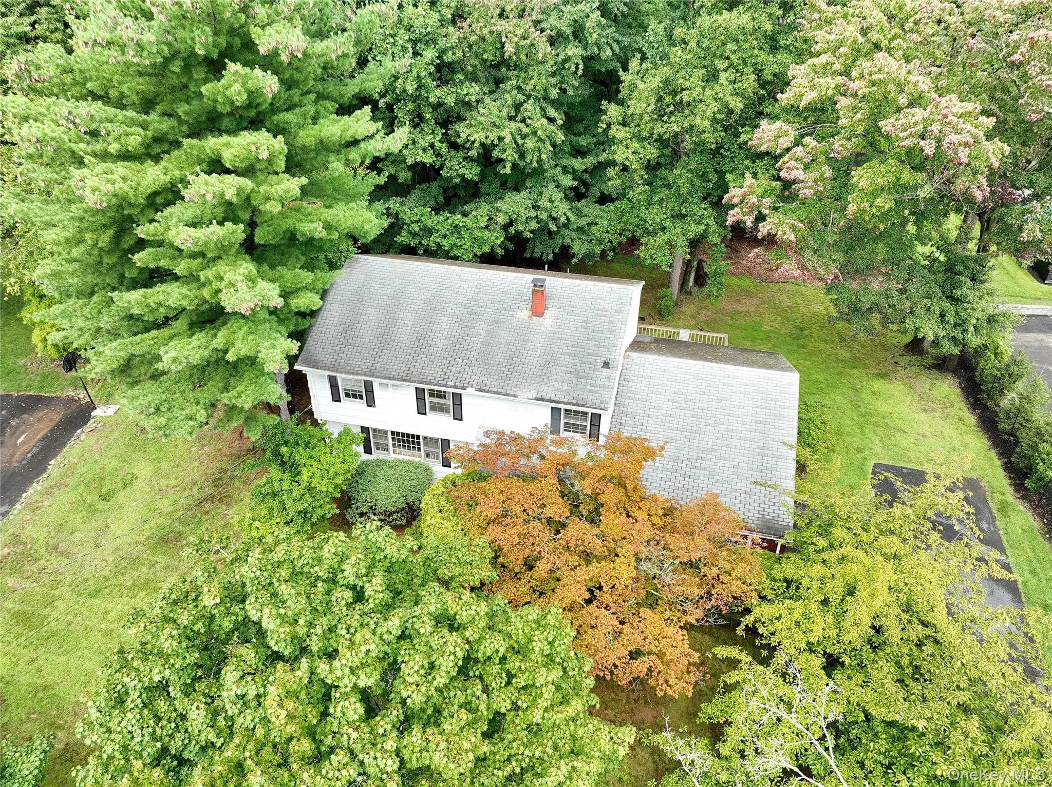 9 Bluejay Street, Ramapo, NY, 4 Bedrooms Bedrooms, 10 Rooms Rooms,2 BathroomsBathrooms,Residential,For Rent,Bluejay,0,1044253 9 Bluejay Street, Ramapo, NY, 4 Bedrooms Bedrooms, 10 Rooms Rooms,2 BathroomsBathrooms,Residential,For Rent,Bluejay,0,1044253