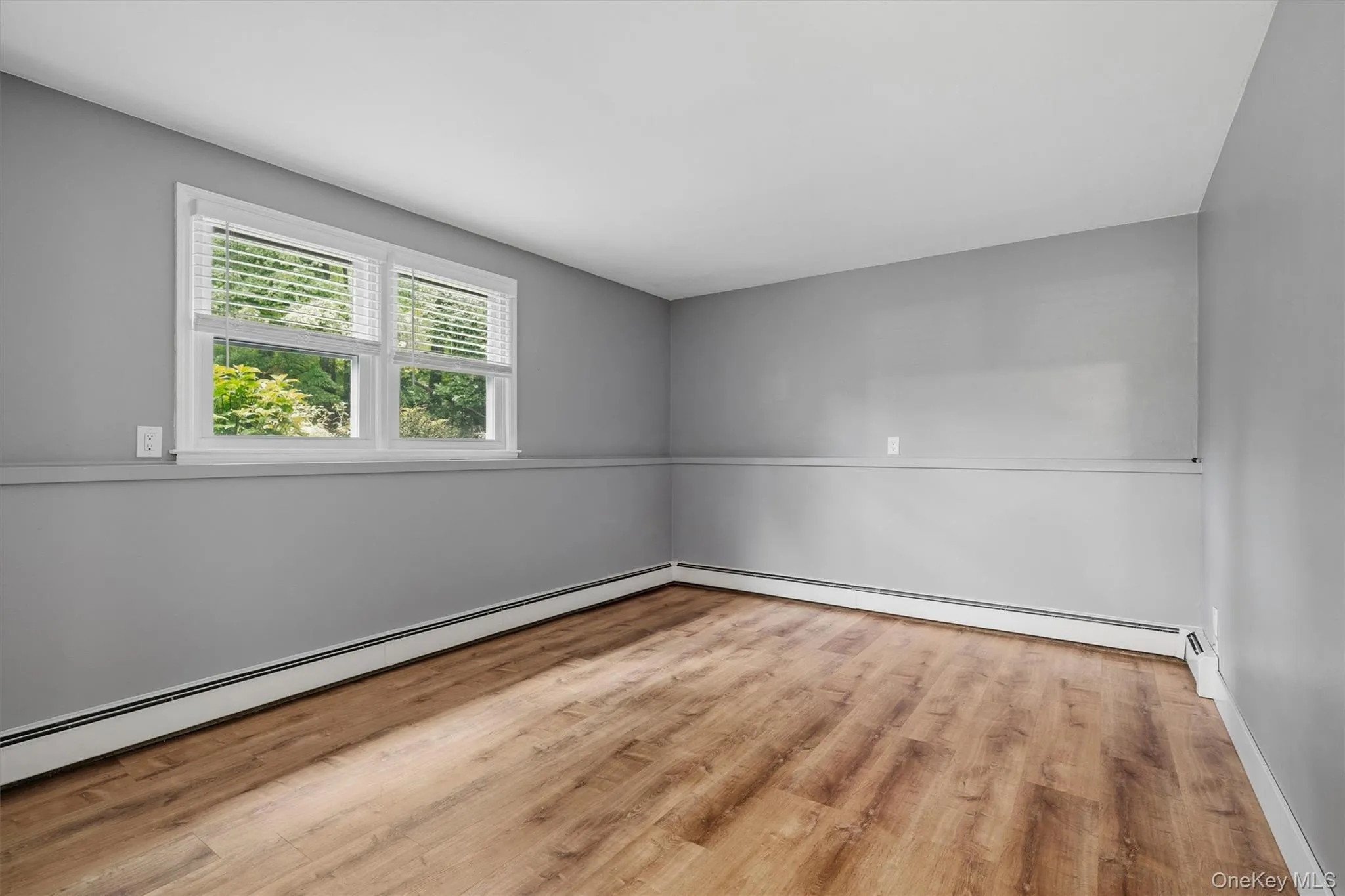 Lower level - bonus room Lower level - bonus room