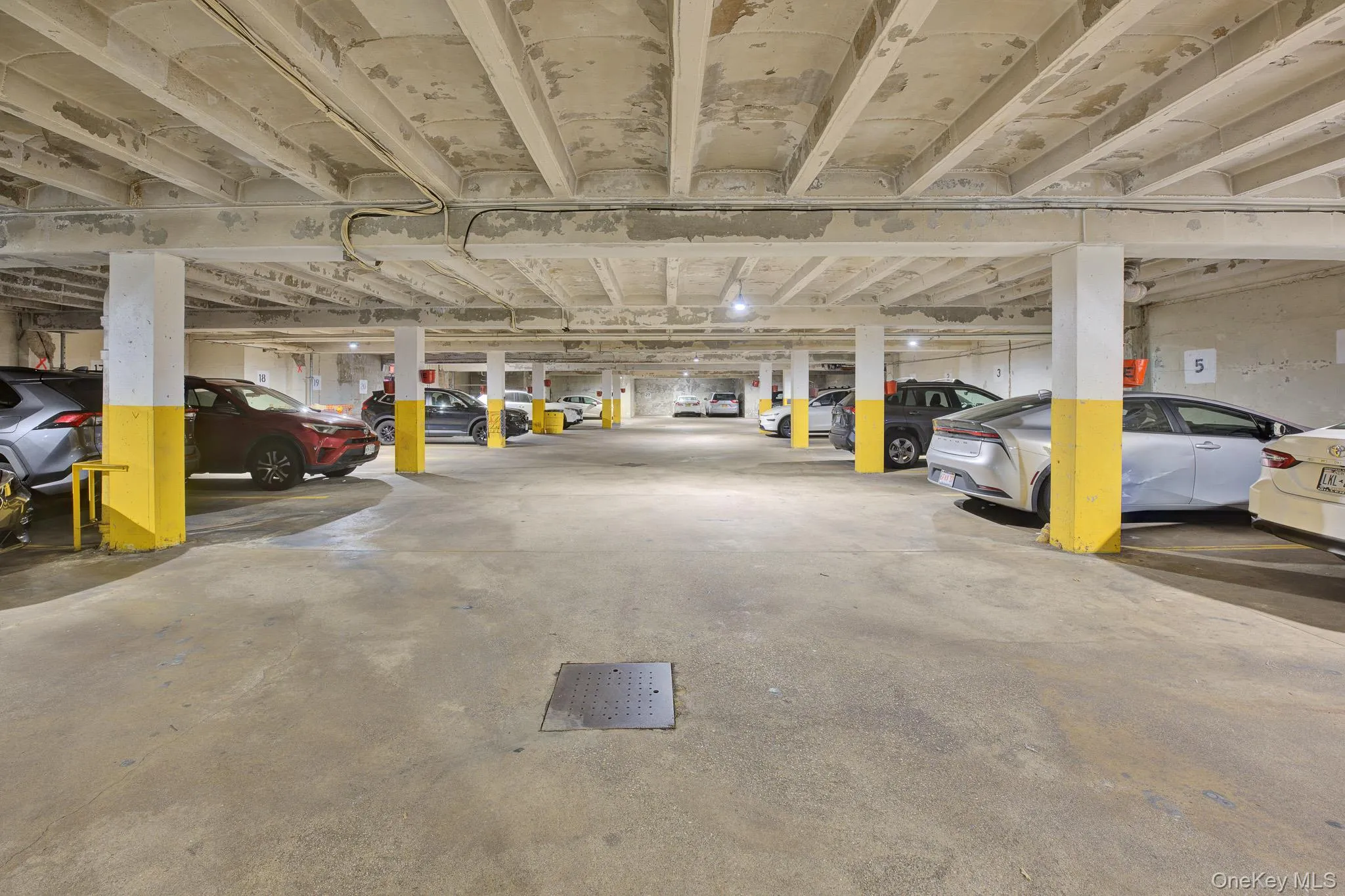 150-10 71st Avenue, New York, NY, 1 Bedroom Bedrooms, 3 Rooms Rooms,1 BathroomBathrooms,Residential,For Rent,71st,0,1044327 150-10 71st Avenue, New York, NY, 1 Bedroom Bedrooms, 3 Rooms Rooms,1 BathroomBathrooms,Residential,For Rent,71st,0,1044327