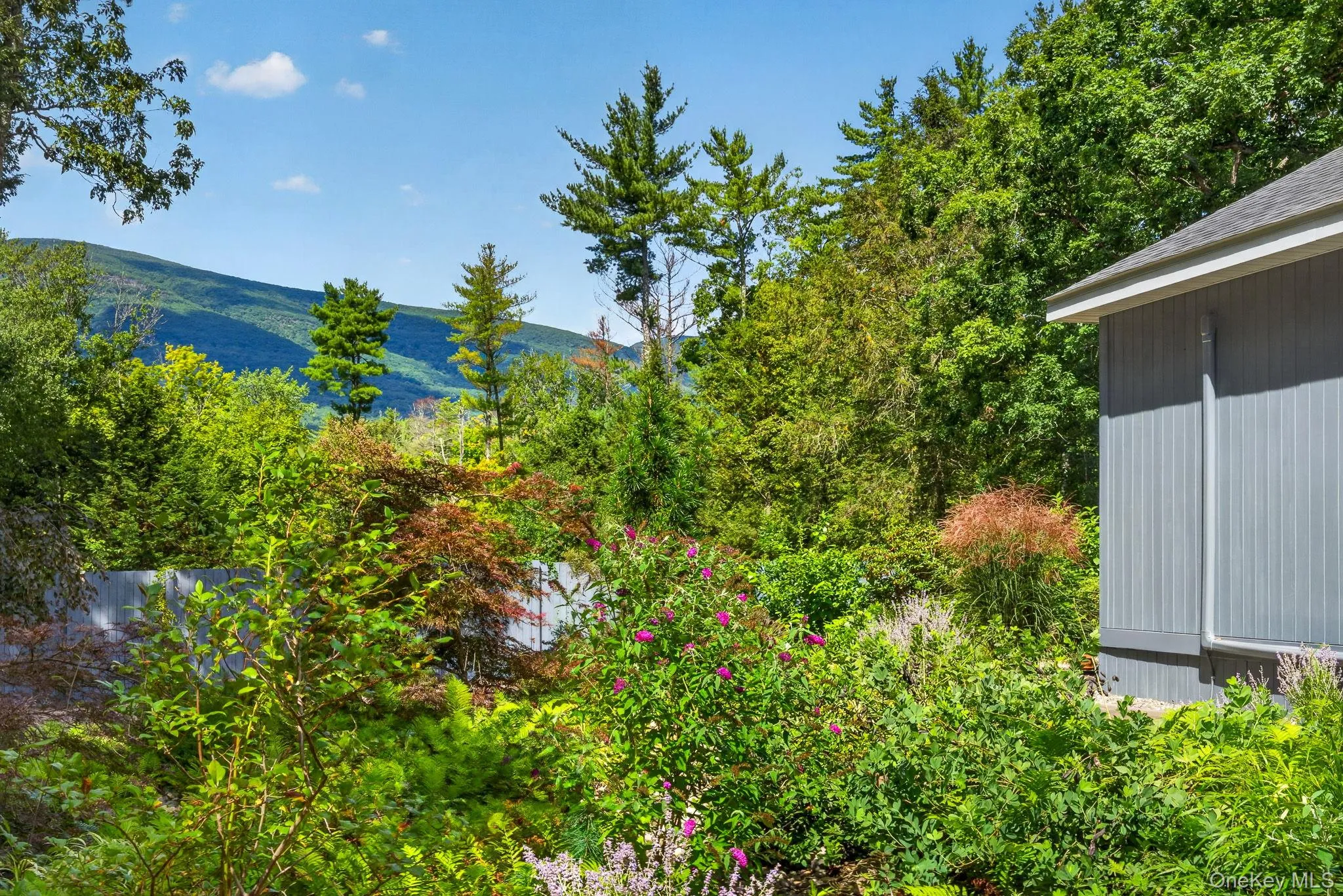 25 Terra Road, Saugerties, NY, 2 Bedrooms Bedrooms, 6 Rooms Rooms,2 BathroomsBathrooms,Residential,For Rent,Terra,0,1044338 25 Terra Road, Saugerties, NY, 2 Bedrooms Bedrooms, 6 Rooms Rooms,2 BathroomsBathrooms,Residential,For Rent,Terra,0,1044338