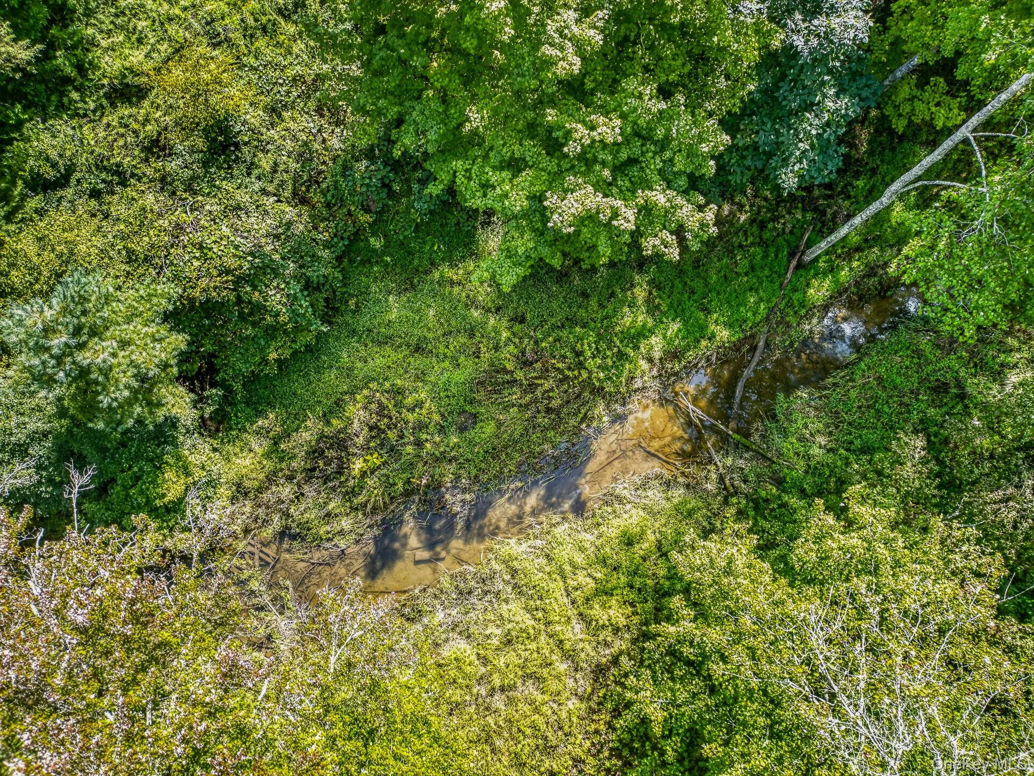 25 Terra Road, Saugerties, NY, 2 Bedrooms Bedrooms, 6 Rooms Rooms,2 BathroomsBathrooms,Residential,For Rent,Terra,0,1044338 25 Terra Road, Saugerties, NY, 2 Bedrooms Bedrooms, 6 Rooms Rooms,2 BathroomsBathrooms,Residential,For Rent,Terra,0,1044338