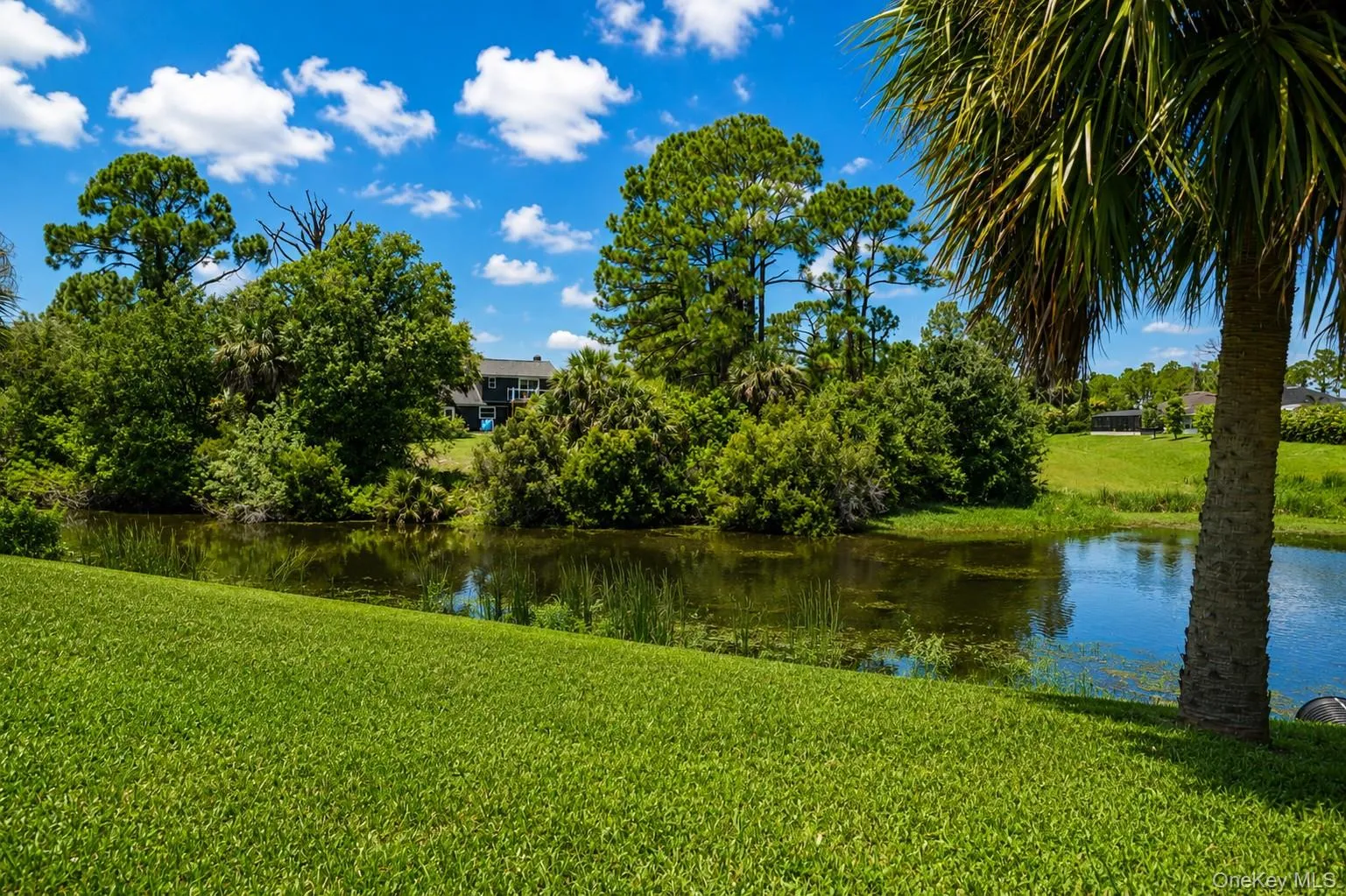 2197 Nita Terrace, Out Of Area, FL, 4 Bedrooms Bedrooms, 6 Rooms Rooms,3 BathroomsBathrooms,Residential,For Rent,Nita,0,1044346 2197 Nita Terrace, Out Of Area, FL, 4 Bedrooms Bedrooms, 6 Rooms Rooms,3 BathroomsBathrooms,Residential,For Rent,Nita,0,1044346