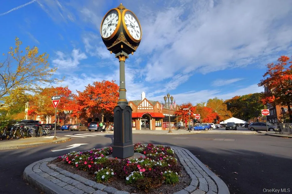 Downtown Scarsdale is a quaint village with plenty of shopping and restaurants and has its own Metro North Train Station. Grand Central Terminal is only a 28 minute train ride. There is also a bike and walking trail that leads from the train station along the Bronx River thru the picturesque Garth Woods. Also enjoy the free summer concert in the park series. Downtown Scarsdale is a quaint village with plenty of shopping and restaurants and has its own Metro North Train Station. Grand Central Terminal is only a 28 minute train ride. There is also a bike and walking trail that leads from the train station along the Bronx River thru the picturesque Garth Woods. Also enjoy the free summer concert in the park series.