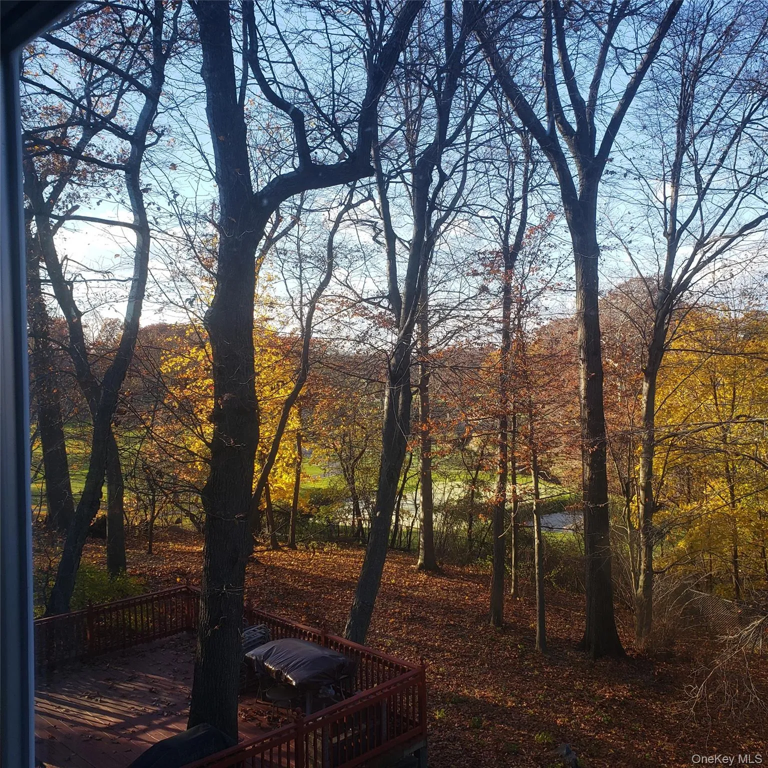673 Pelham Road, New Rochelle, NY, 1 Bedroom Bedrooms, 3 Rooms Rooms,1 BathroomBathrooms,Residential,For Rent,Pelham,0,1044386 673 Pelham Road, New Rochelle, NY, 1 Bedroom Bedrooms, 3 Rooms Rooms,1 BathroomBathrooms,Residential,For Rent,Pelham,0,1044386