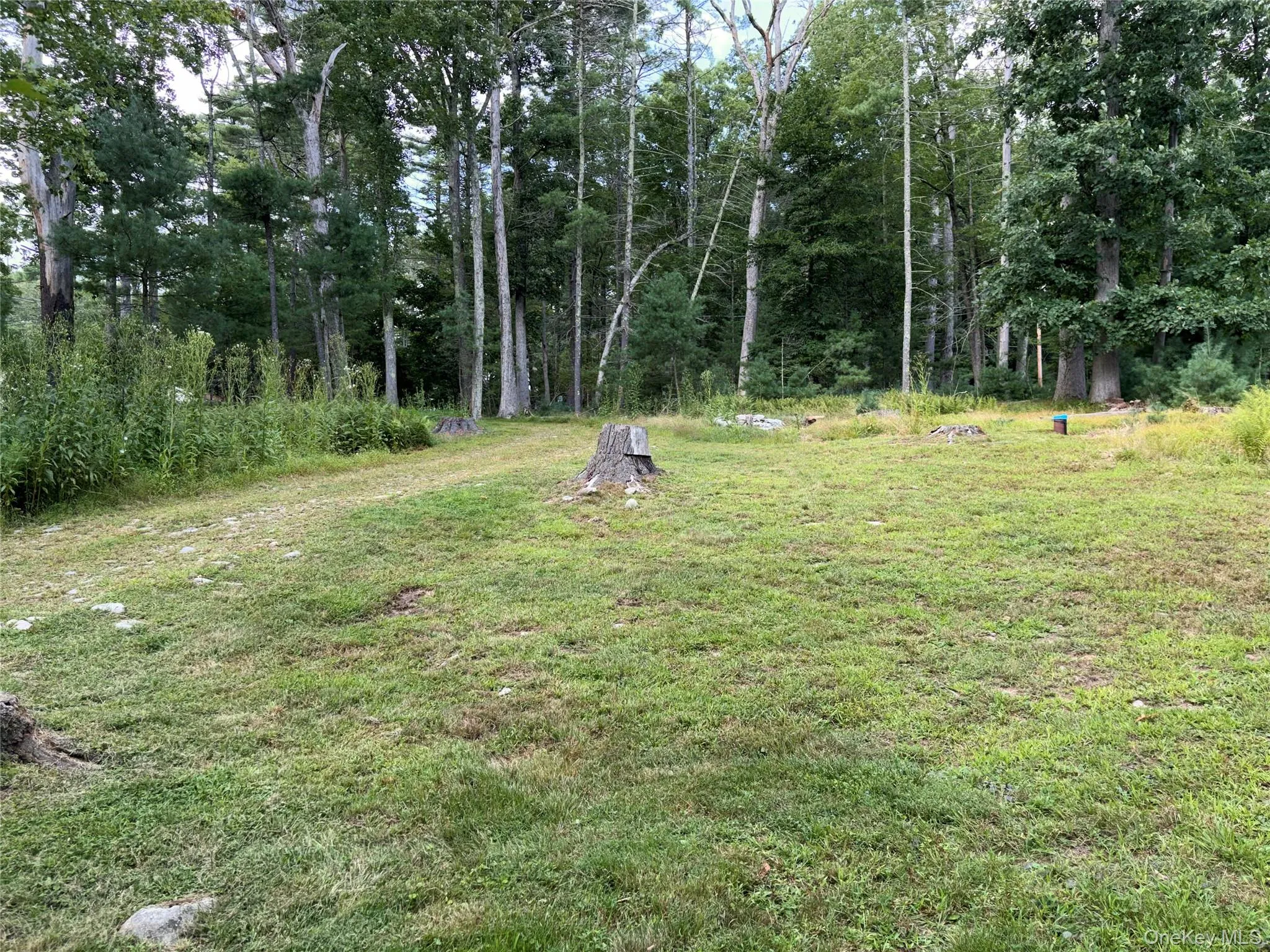 6 Walters Farm Road, Highland, NY, 2 Bedrooms Bedrooms, 7 Rooms Rooms,1 BathroomBathrooms,Residential Lease,For Rent,Walters Farm,0,1044449 6 Walters Farm Road, Highland, NY, 2 Bedrooms Bedrooms, 7 Rooms Rooms,1 BathroomBathrooms,Residential Lease,For Rent,Walters Farm,0,1044449
