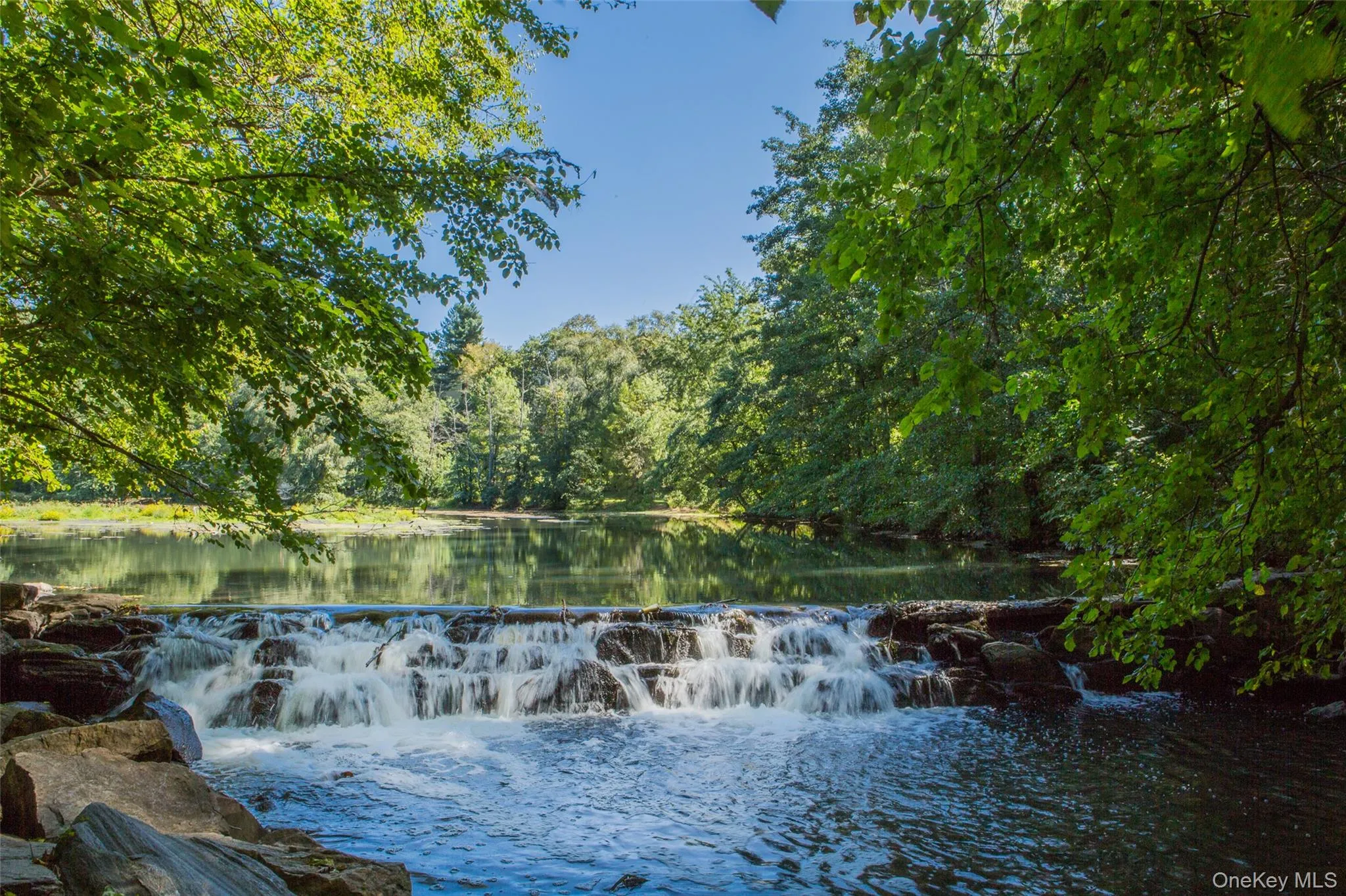 Bronx River Walking Trail Bronx River Walking Trail