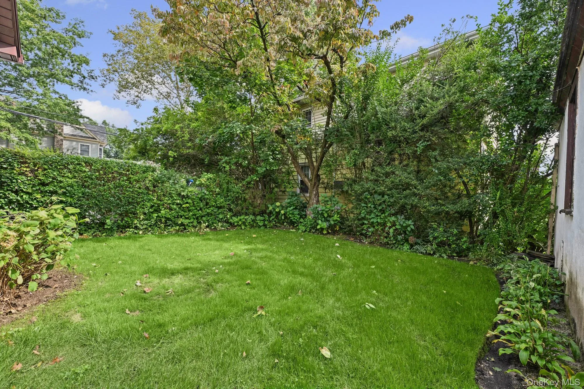 230 Crocus Avenue, Hempstead, NY, 3 Bedrooms Bedrooms, 8 Rooms Rooms,2 BathroomsBathrooms,Residential,For Rent,Crocus,0,1044474 230 Crocus Avenue, Hempstead, NY, 3 Bedrooms Bedrooms, 8 Rooms Rooms,2 BathroomsBathrooms,Residential,For Rent,Crocus,0,1044474