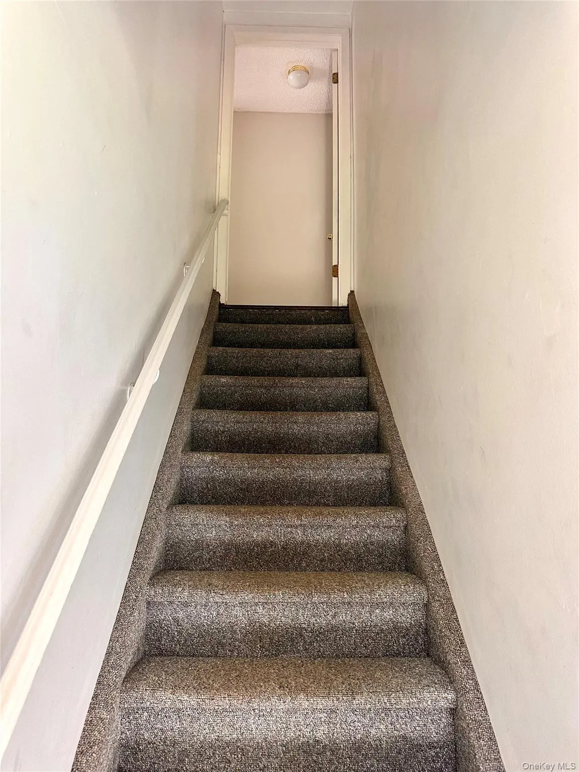 532 Park Avenue, Brookhaven, NY, 2 Bedrooms Bedrooms, 5 Rooms Rooms,1 BathroomBathrooms,Residential Lease,For Rent,Park,0,1044477 532 Park Avenue, Brookhaven, NY, 2 Bedrooms Bedrooms, 5 Rooms Rooms,1 BathroomBathrooms,Residential Lease,For Rent,Park,0,1044477