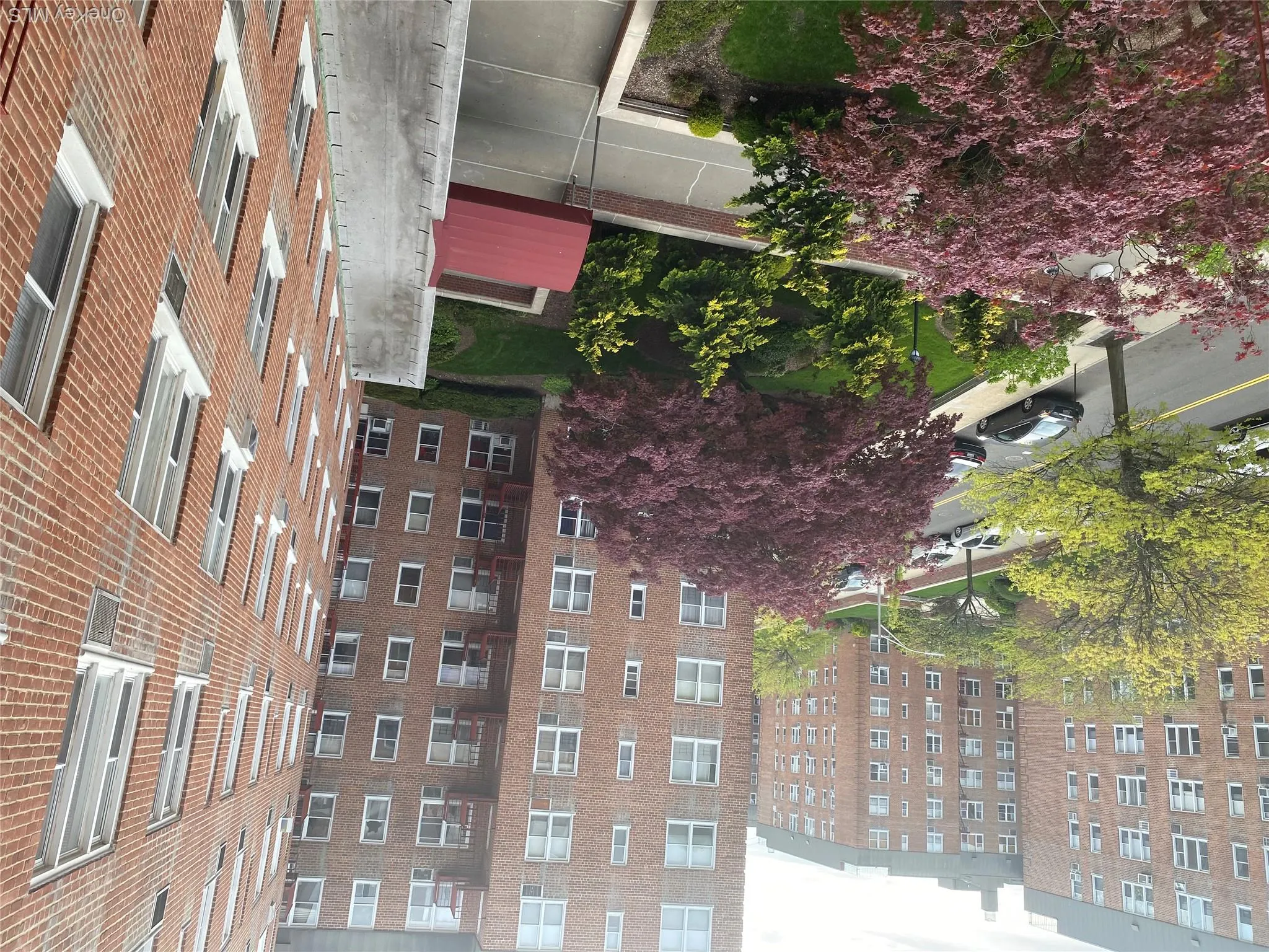 2 Sadore Lane, Yonkers, NY, 1 Bedroom Bedrooms, 3 Rooms Rooms,1 BathroomBathrooms,Residential,For Rent,Sadore Lane,0,1044530 2 Sadore Lane, Yonkers, NY, 1 Bedroom Bedrooms, 3 Rooms Rooms,1 BathroomBathrooms,Residential,For Rent,Sadore Lane,0,1044530