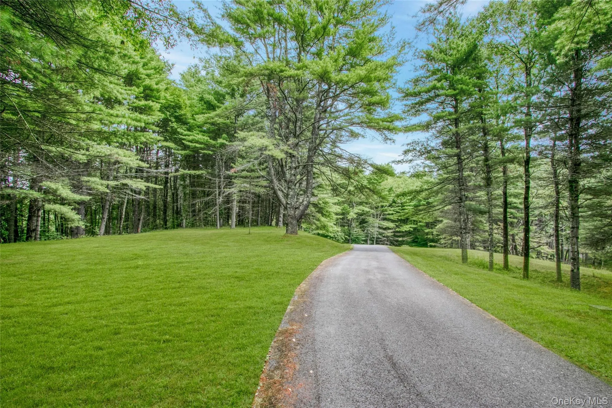 941 Starlight Road, Thompson, NY, 12 Bedrooms Bedrooms, 25 Rooms Rooms,10 BathroomsBathrooms,Residential,For Rent,Starlight,0,1044572 941 Starlight Road, Thompson, NY, 12 Bedrooms Bedrooms, 25 Rooms Rooms,10 BathroomsBathrooms,Residential,For Rent,Starlight,0,1044572