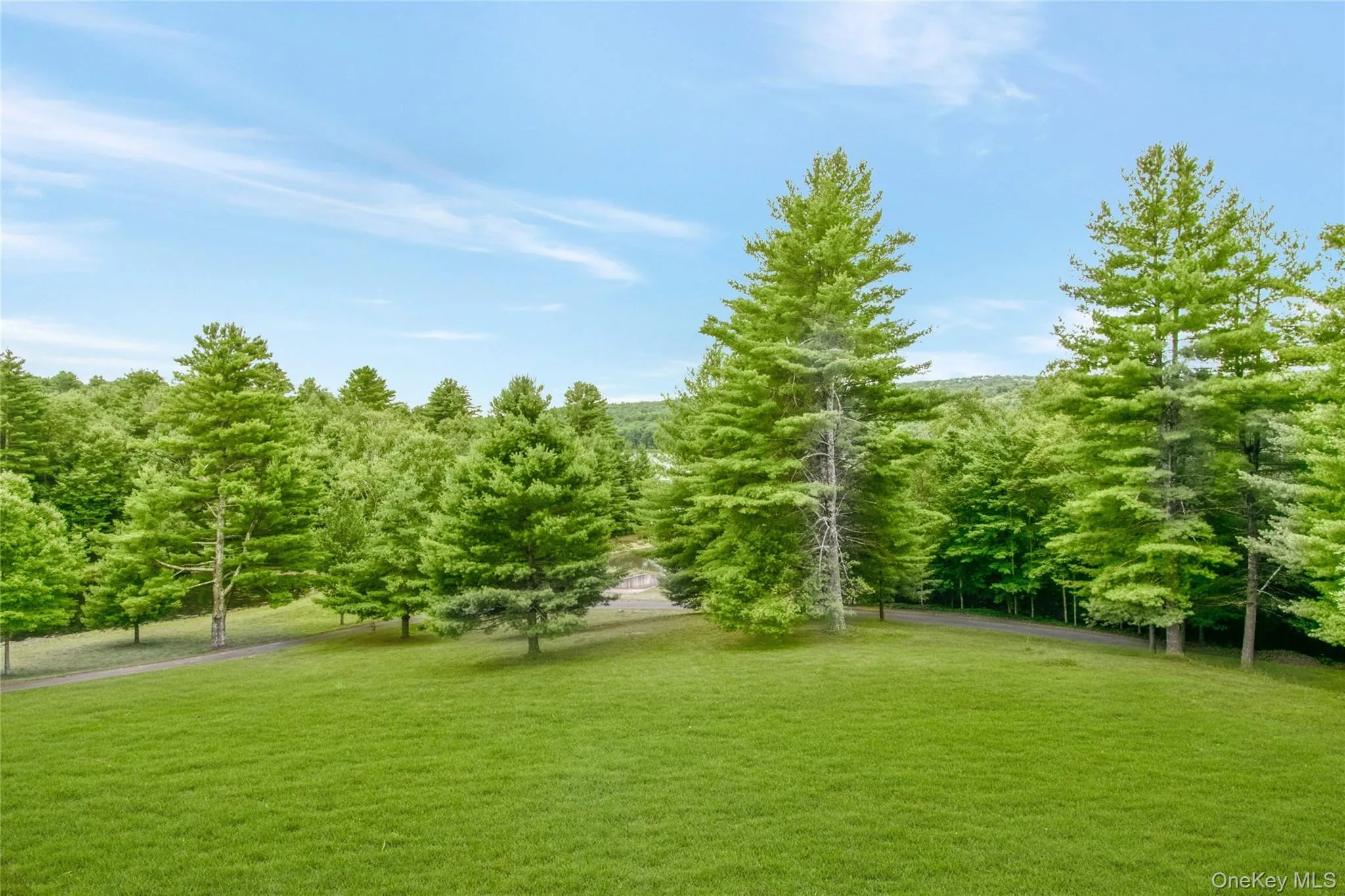 941 Starlight Road, Thompson, NY, 12 Bedrooms Bedrooms, 25 Rooms Rooms,10 BathroomsBathrooms,Residential,For Rent,Starlight,0,1044572 941 Starlight Road, Thompson, NY, 12 Bedrooms Bedrooms, 25 Rooms Rooms,10 BathroomsBathrooms,Residential,For Rent,Starlight,0,1044572