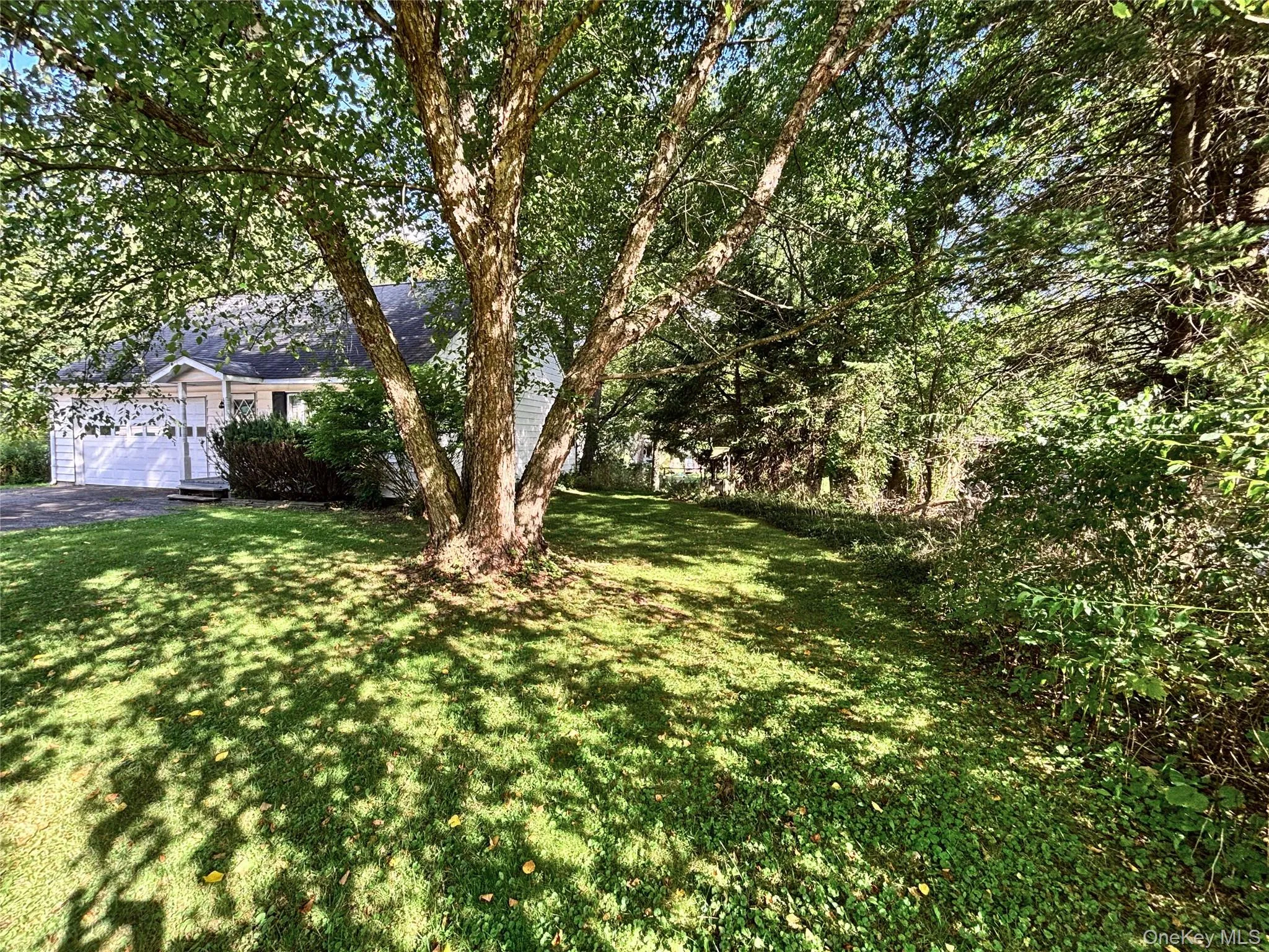 193 Main Street, Delhi, NY, 3 Bedrooms Bedrooms, 9 Rooms Rooms,1 BathroomBathrooms,Residential,For Rent,Main,0,1044576 193 Main Street, Delhi, NY, 3 Bedrooms Bedrooms, 9 Rooms Rooms,1 BathroomBathrooms,Residential,For Rent,Main,0,1044576
