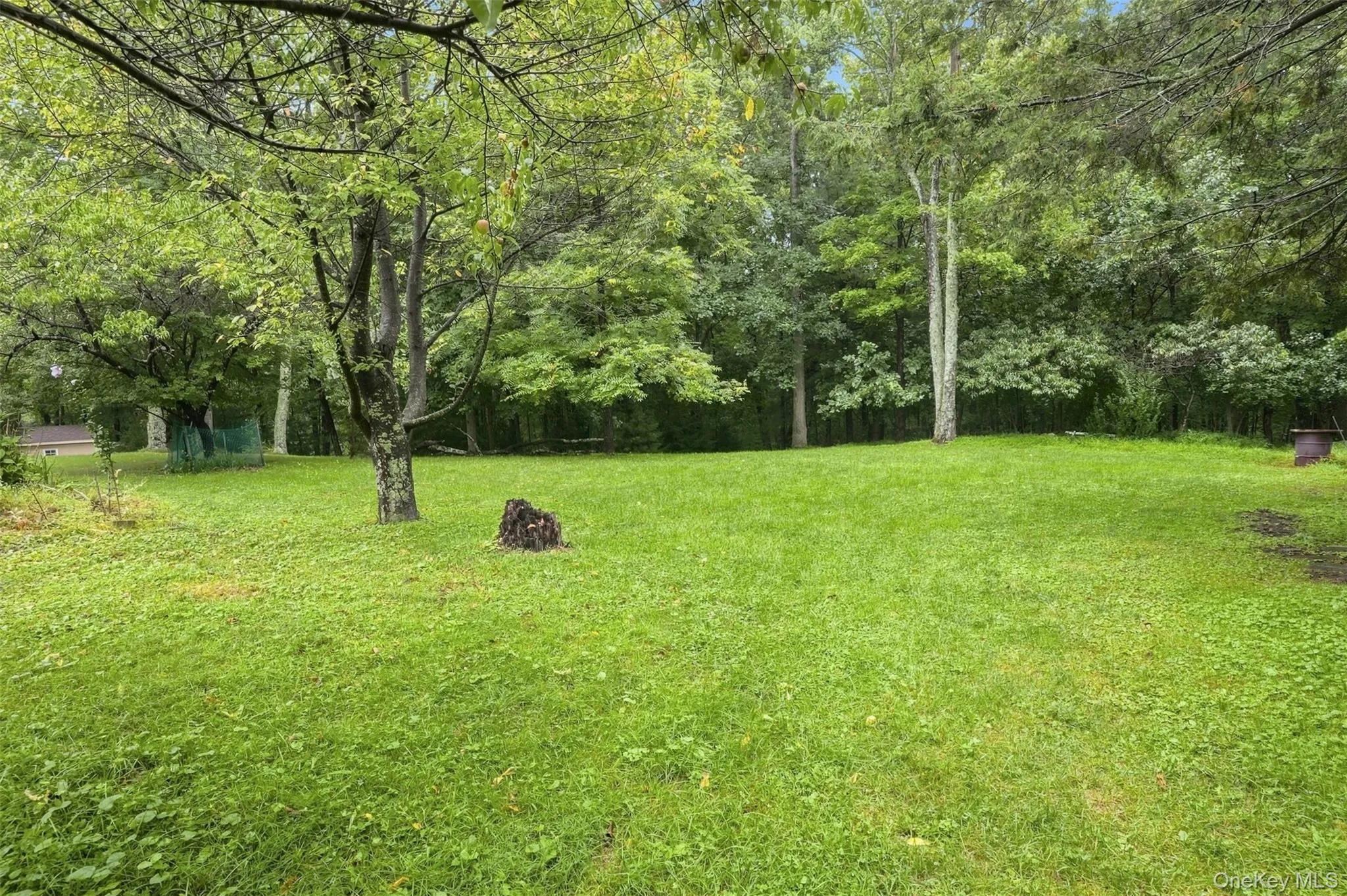 31 Red Barn Road, Shawangunk, NY, 3 Bedrooms Bedrooms, 7 Rooms Rooms,1 BathroomBathrooms,Residential,For Rent,Red Barn,0,1044592 31 Red Barn Road, Shawangunk, NY, 3 Bedrooms Bedrooms, 7 Rooms Rooms,1 BathroomBathrooms,Residential,For Rent,Red Barn,0,1044592