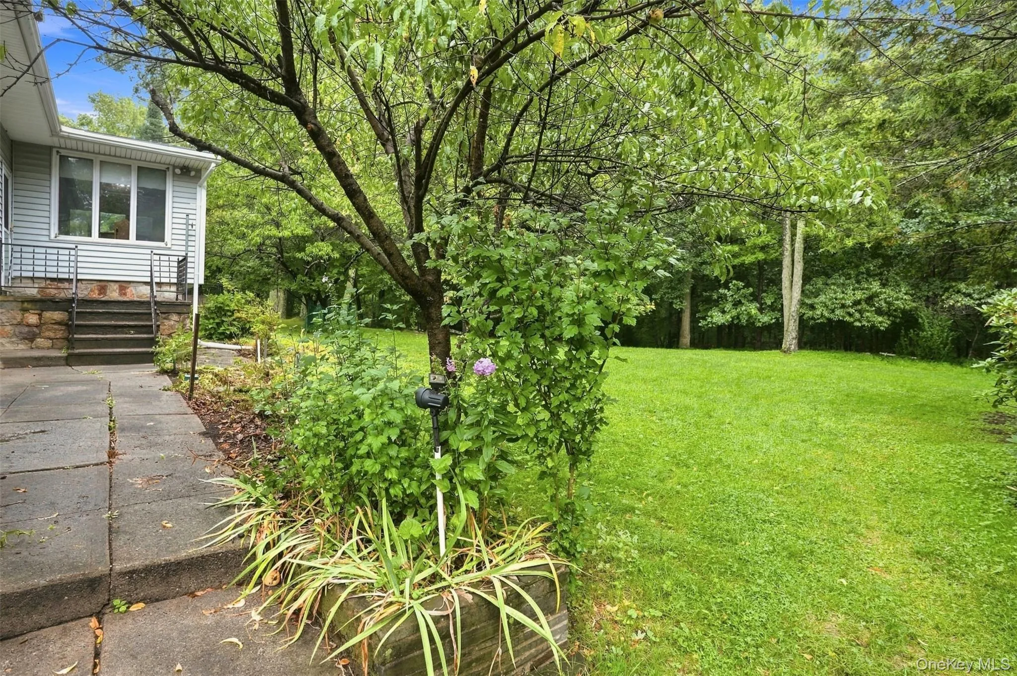 31 Red Barn Road, Shawangunk, NY, 3 Bedrooms Bedrooms, 7 Rooms Rooms,1 BathroomBathrooms,Residential,For Rent,Red Barn,0,1044592 31 Red Barn Road, Shawangunk, NY, 3 Bedrooms Bedrooms, 7 Rooms Rooms,1 BathroomBathrooms,Residential,For Rent,Red Barn,0,1044592