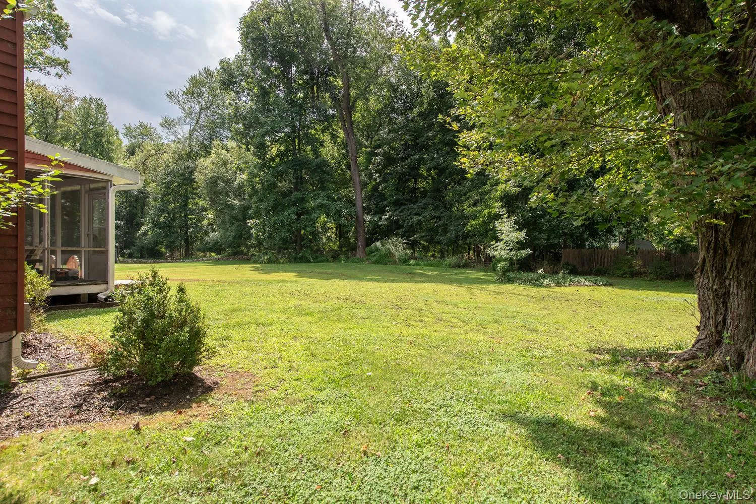 Lovely yard, buffered by mature trees Lovely yard, buffered by mature trees