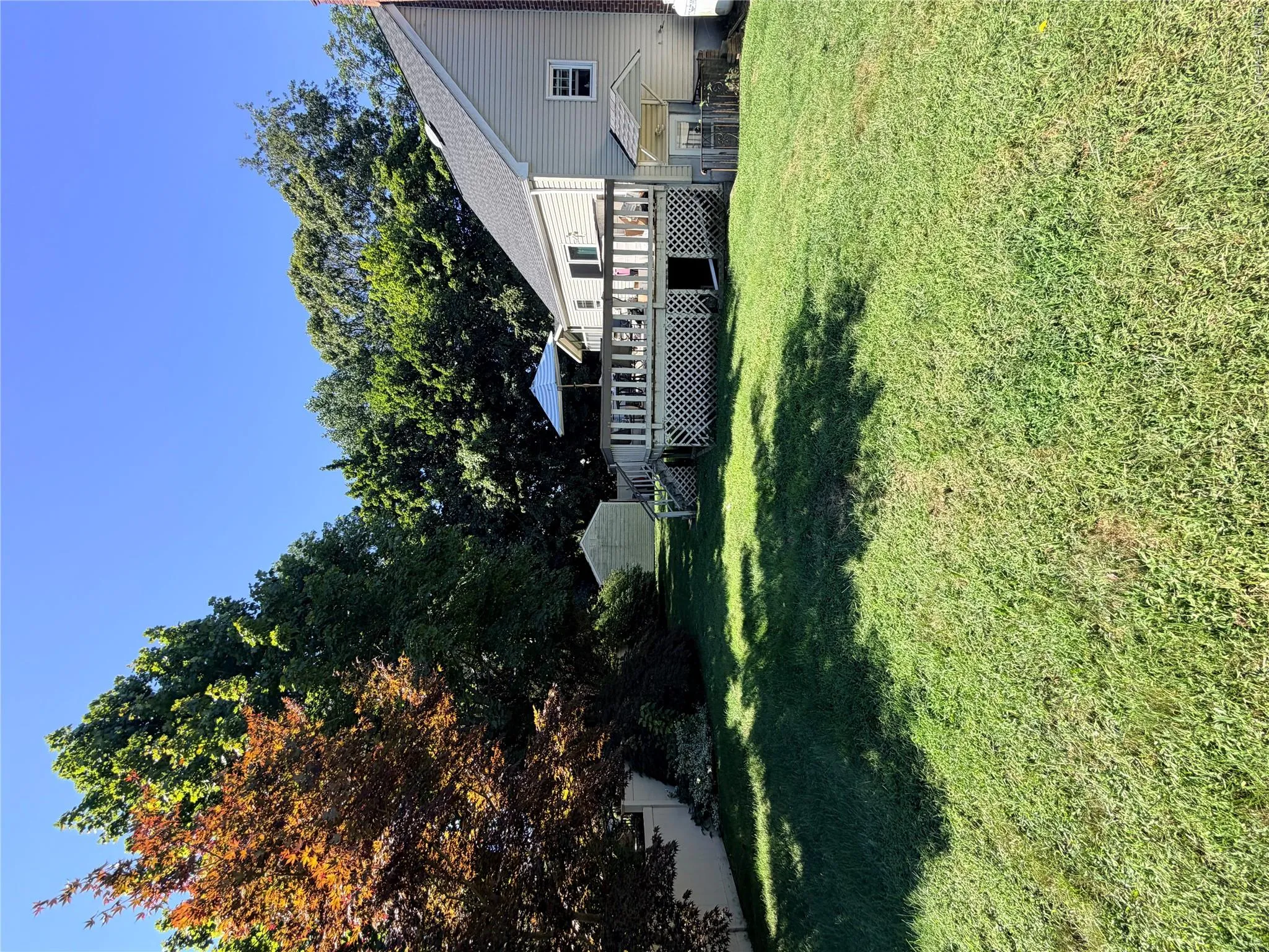 large backyard, completely fenced large backyard, completely fenced