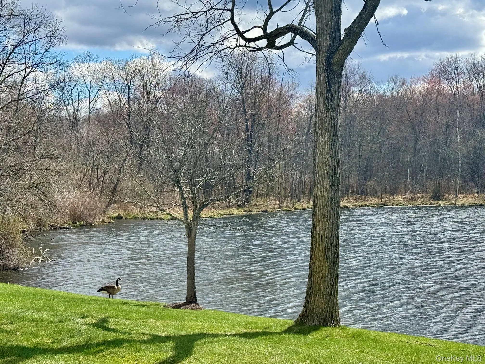 47 Brick Pond Road, Middletown, NY, 2 Bedrooms Bedrooms, 5 Rooms Rooms,1 BathroomBathrooms,Residential Lease,For Rent,Brick Pond,0,1044647 47 Brick Pond Road, Middletown, NY, 2 Bedrooms Bedrooms, 5 Rooms Rooms,1 BathroomBathrooms,Residential Lease,For Rent,Brick Pond,0,1044647