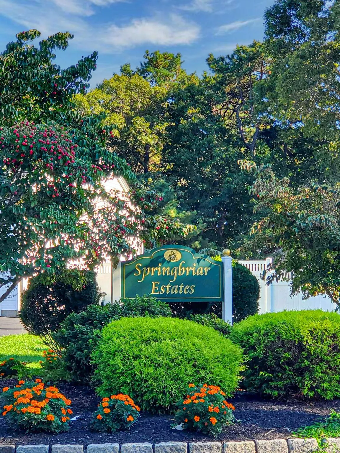 3 Embassy Road, Brookhaven, NY, 5 Bedrooms Bedrooms, 13 Rooms Rooms,3 BathroomsBathrooms,Residential Lease,For Rent,Embassy,0,1044673 3 Embassy Road, Brookhaven, NY, 5 Bedrooms Bedrooms, 13 Rooms Rooms,3 BathroomsBathrooms,Residential Lease,For Rent,Embassy,0,1044673