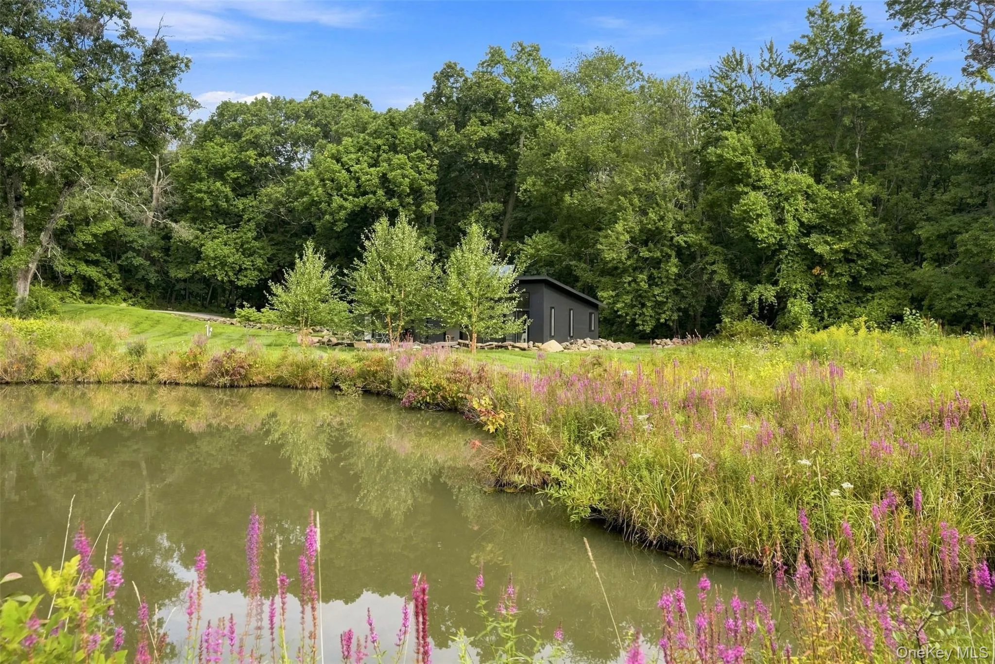 24 Silver Lane, Red Hook, NY, 2 Bedrooms Bedrooms, 4 Rooms Rooms,2 BathroomsBathrooms,Residential,For Rent,Silver,0,1044691 24 Silver Lane, Red Hook, NY, 2 Bedrooms Bedrooms, 4 Rooms Rooms,2 BathroomsBathrooms,Residential,For Rent,Silver,0,1044691