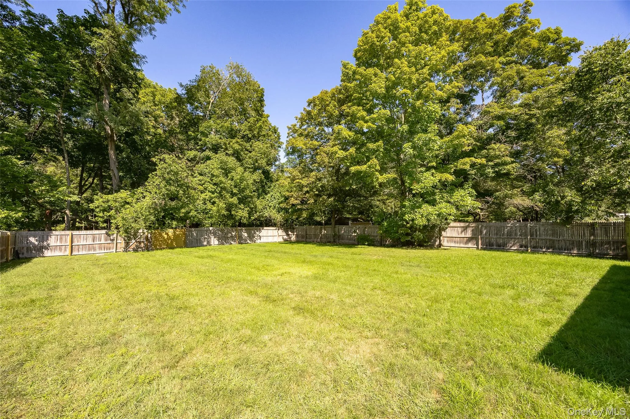 13 Toomey Drive, Poughkeepsie (town), NY, 3 Bedrooms Bedrooms, 8 Rooms Rooms,1 BathroomBathrooms,Residential,For Rent,Toomey,0,1044717 13 Toomey Drive, Poughkeepsie (town), NY, 3 Bedrooms Bedrooms, 8 Rooms Rooms,1 BathroomBathrooms,Residential,For Rent,Toomey,0,1044717