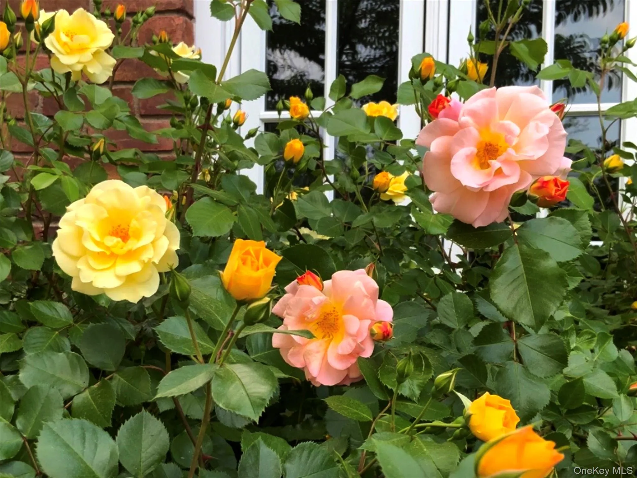 75 Valentine Avenue, Kingston, NY, 3 Bedrooms Bedrooms, 8 Rooms Rooms,2 BathroomsBathrooms,Residential,For Rent,Valentine,0,1044737 75 Valentine Avenue, Kingston, NY, 3 Bedrooms Bedrooms, 8 Rooms Rooms,2 BathroomsBathrooms,Residential,For Rent,Valentine,0,1044737
