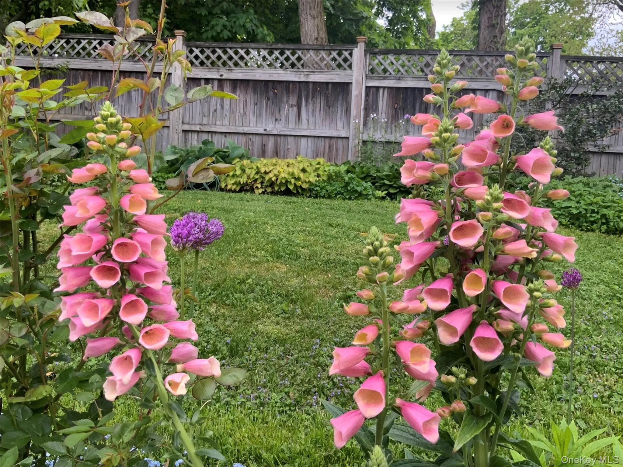 75 Valentine Avenue, Kingston, NY, 3 Bedrooms Bedrooms, 8 Rooms Rooms,2 BathroomsBathrooms,Residential,For Rent,Valentine,0,1044737 75 Valentine Avenue, Kingston, NY, 3 Bedrooms Bedrooms, 8 Rooms Rooms,2 BathroomsBathrooms,Residential,For Rent,Valentine,0,1044737