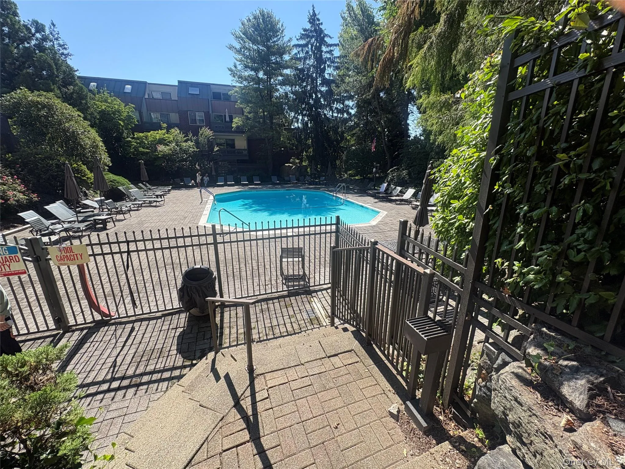 Private Pool with Lounge Chairs Private Pool with Lounge Chairs