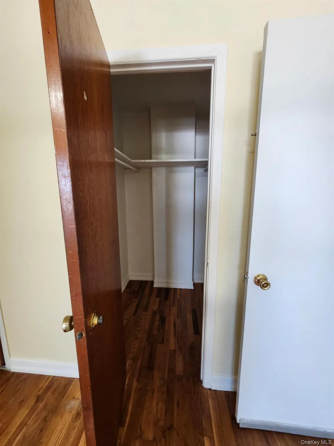 165-19 CHAPIN PKWY, New York, NY, 3 Bedrooms Bedrooms, 5 Rooms Rooms,1 BathroomBathrooms,Residential Lease,For Rent,CHAPIN PKWY,0,1044773 165-19 CHAPIN PKWY, New York, NY, 3 Bedrooms Bedrooms, 5 Rooms Rooms,1 BathroomBathrooms,Residential Lease,For Rent,CHAPIN PKWY,0,1044773