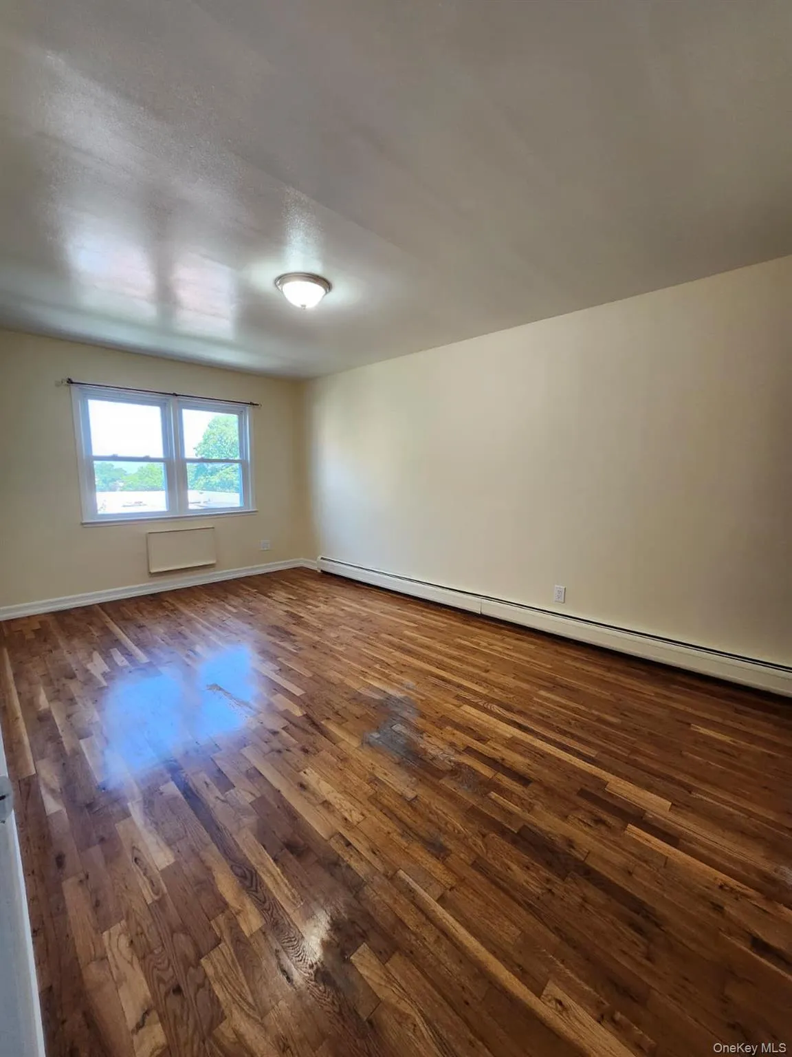 165-19 CHAPIN PKWY, New York, NY, 3 Bedrooms Bedrooms, 5 Rooms Rooms,1 BathroomBathrooms,Residential Lease,For Rent,CHAPIN PKWY,0,1044773 165-19 CHAPIN PKWY, New York, NY, 3 Bedrooms Bedrooms, 5 Rooms Rooms,1 BathroomBathrooms,Residential Lease,For Rent,CHAPIN PKWY,0,1044773