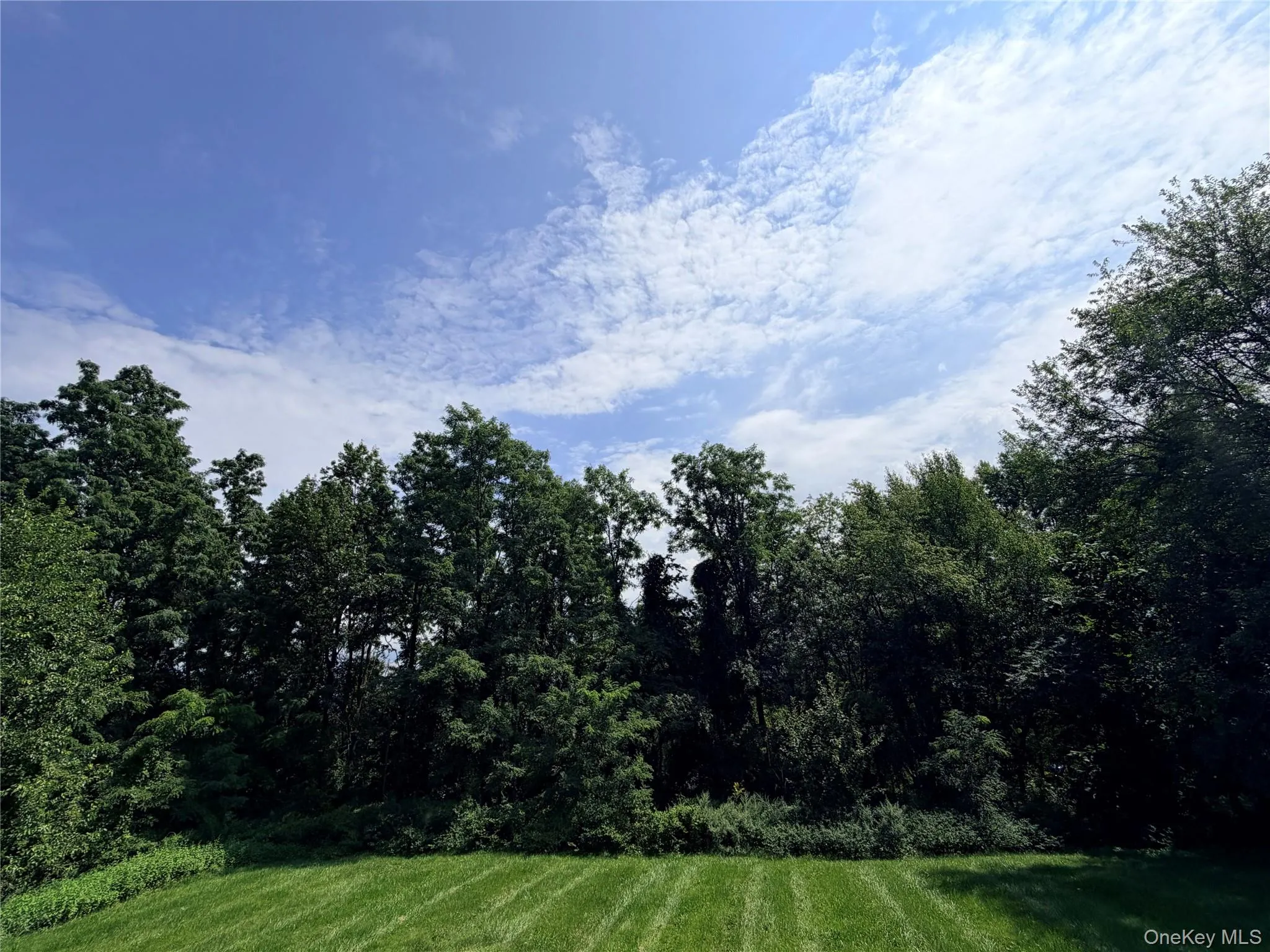 Breathe taking view from back yard of tree line meeting the beautiful sky. Breathe taking view from back yard of tree line meeting the beautiful sky.