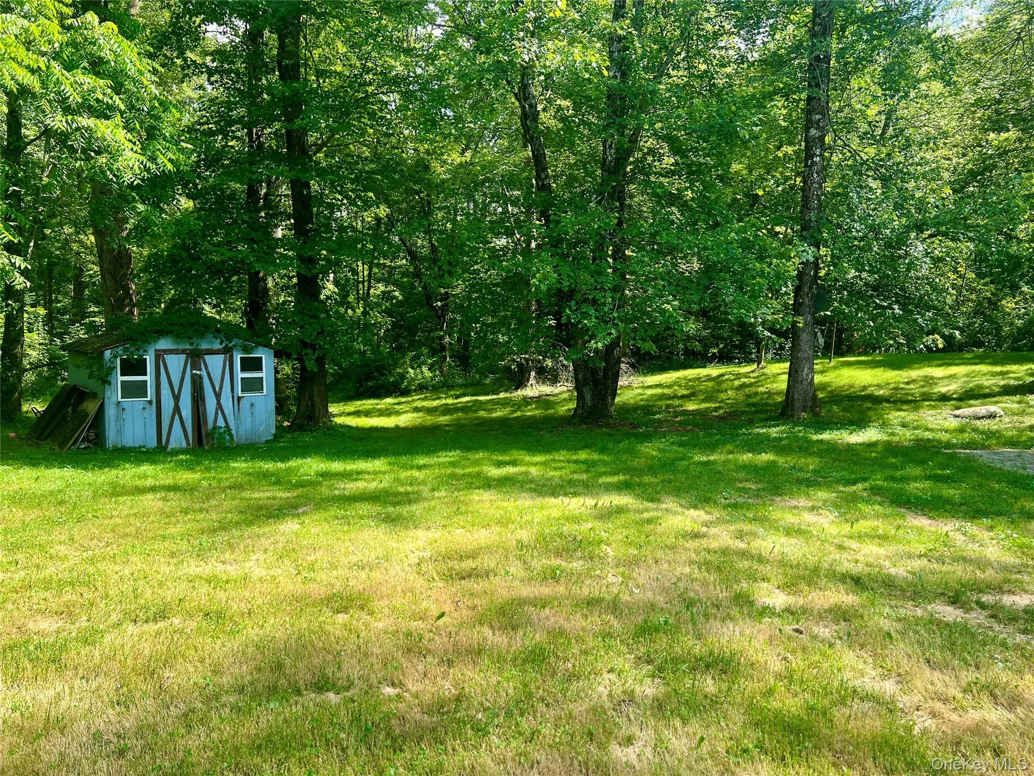 View of green lawn featuring a storage shed and a wooded view View of green lawn featuring a storage shed and a wooded view