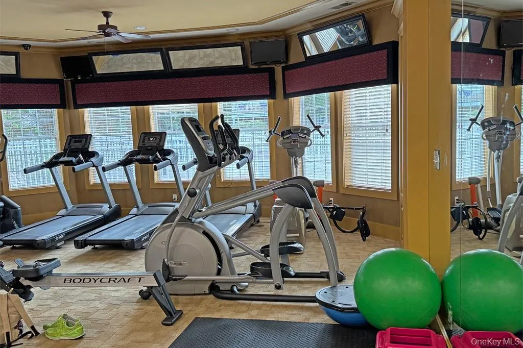 Spacious workout room featuring multiple windows, a ceiling fan, and mirrored wall panels Spacious workout room featuring multiple windows, a ceiling fan, and mirrored wall panels