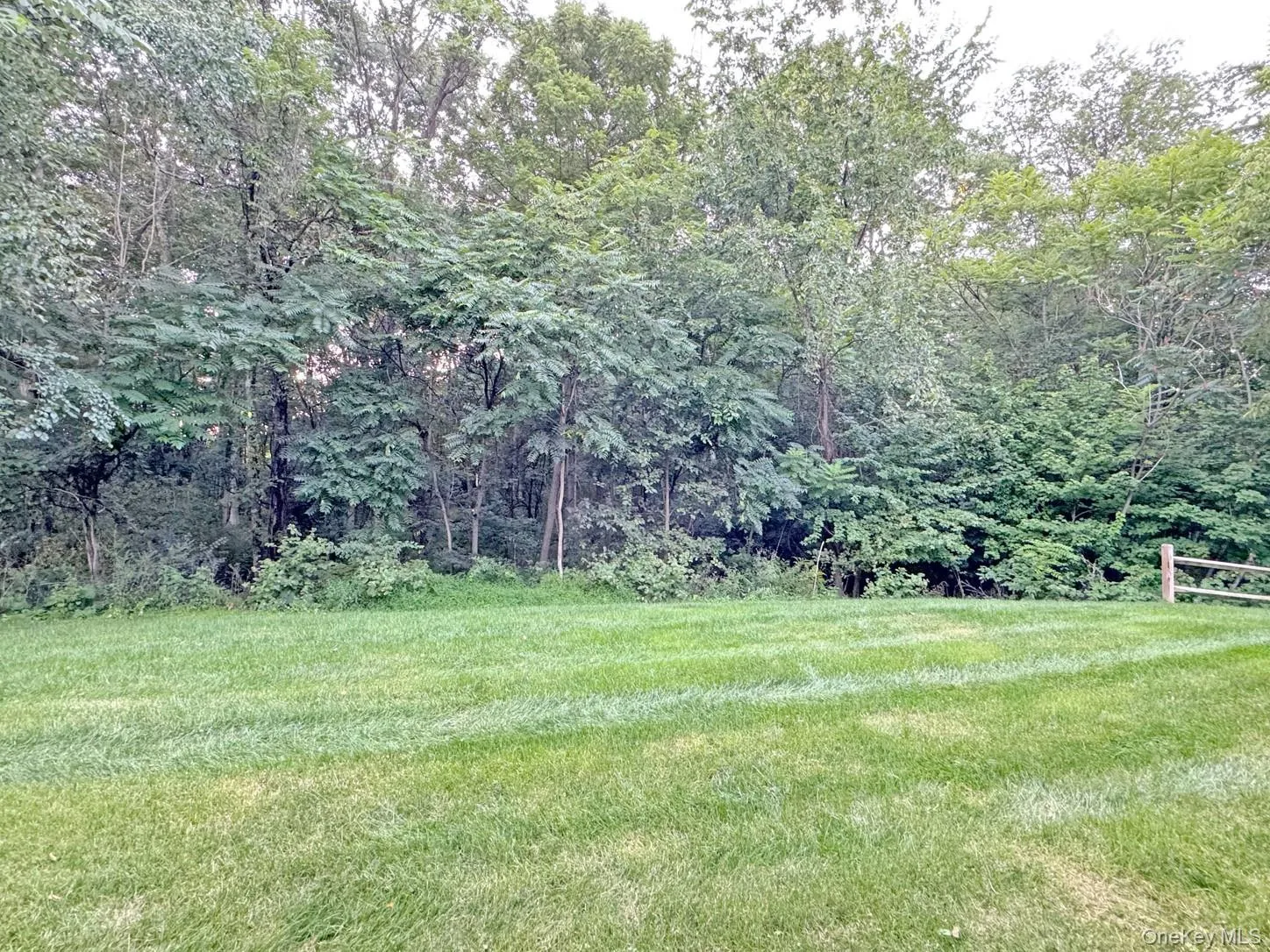 Expansive lawn bordered by dense, mature trees and a wood split-rail fence Expansive lawn bordered by dense, mature trees and a wood split-rail fence