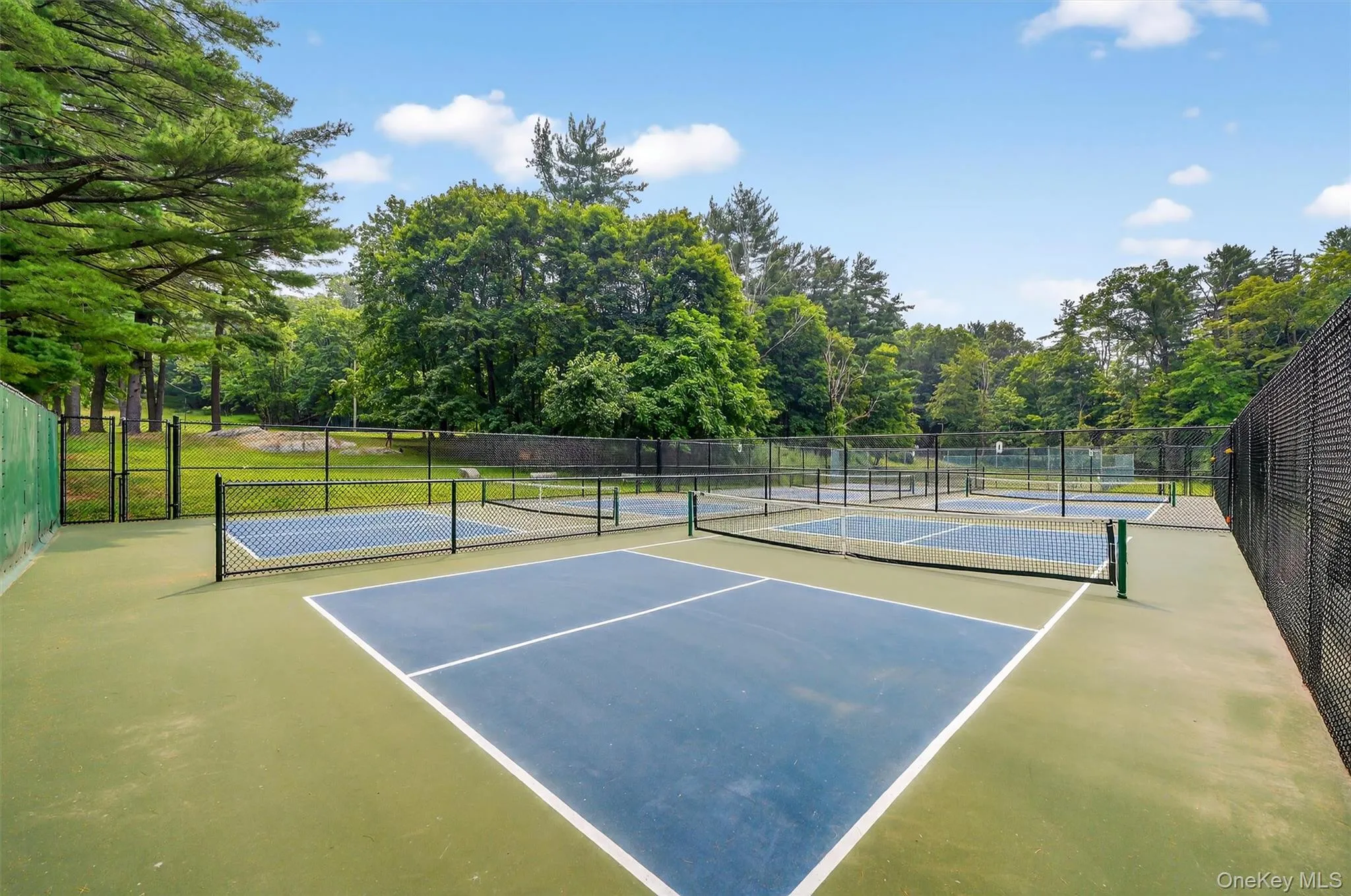 Pickle ball or tennis, both in the park. Pickle ball or tennis, both in the park.