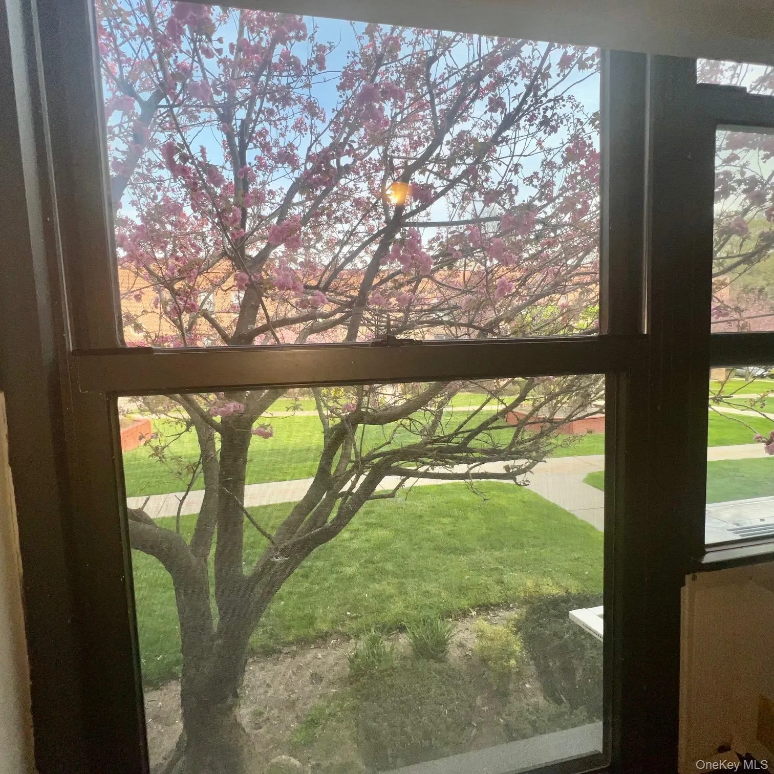 204 Richbell Road, Mamaroneck, NY, 1 Bedroom Bedrooms, 3 Rooms Rooms,1 BathroomBathrooms,Residential,For Rent,Richbell,0,1044930 204 Richbell Road, Mamaroneck, NY, 1 Bedroom Bedrooms, 3 Rooms Rooms,1 BathroomBathrooms,Residential,For Rent,Richbell,0,1044930