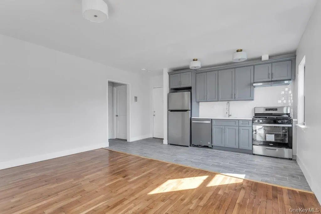 Kitchen featuring light wood finished floors, appliances with stainless steel finishes, gray cabinetry, under cabinet range hood, and a sink Kitchen featuring light wood finished floors, appliances with stainless steel finishes, gray cabinetry, under cabinet range hood, and a sink