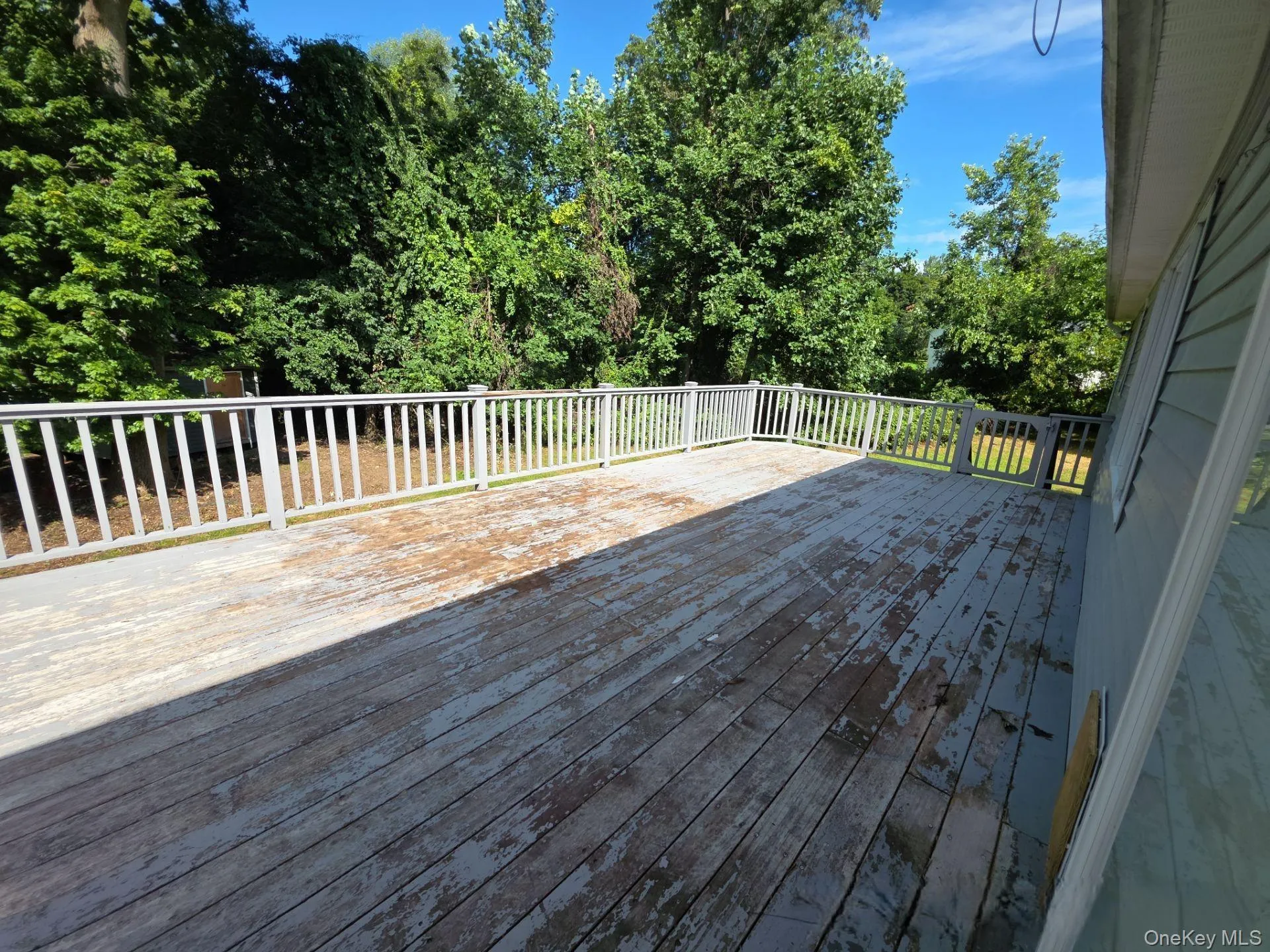 25 Butternut Drive, Ramapo, NY, 6 Bedrooms Bedrooms, 9 Rooms Rooms,3 BathroomsBathrooms,Residential,For Rent,Butternut,0,1045007 25 Butternut Drive, Ramapo, NY, 6 Bedrooms Bedrooms, 9 Rooms Rooms,3 BathroomsBathrooms,Residential,For Rent,Butternut,0,1045007