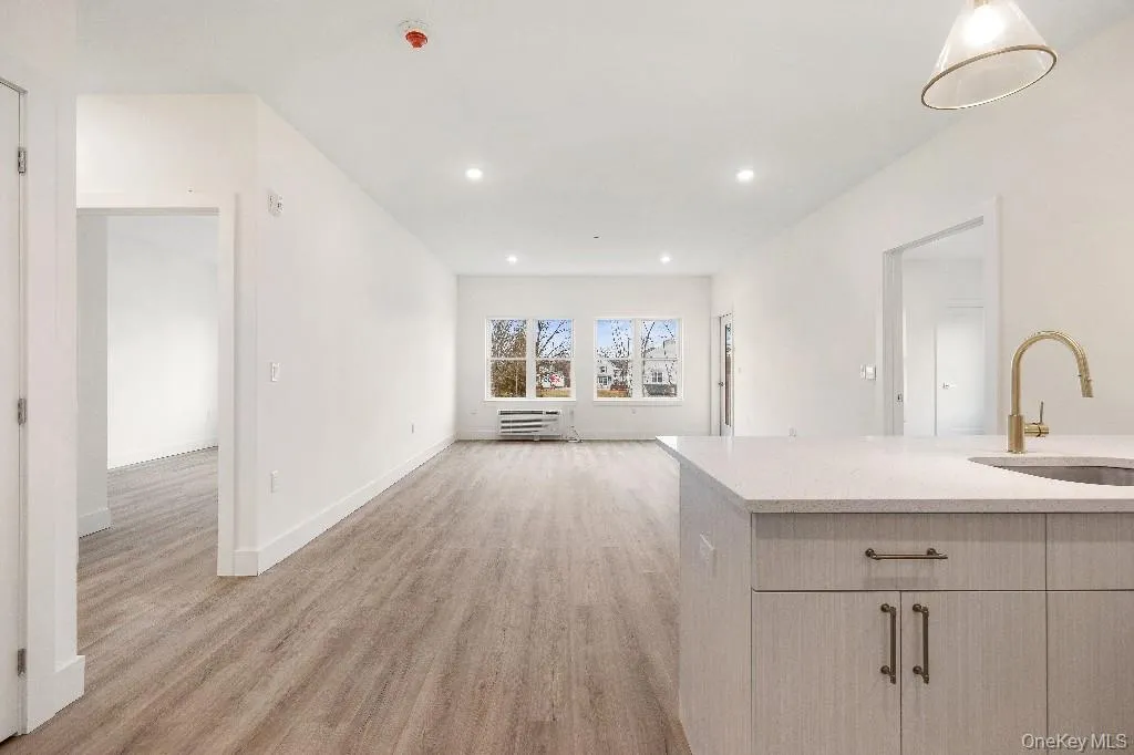 Unfurnished living room with light hardwood / wood-style floors and sink Unfurnished living room with light hardwood / wood-style floors and sink