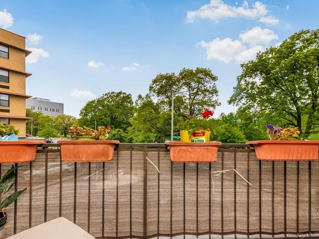 1874 Pelham Parkway, New York, NY, 2 Bedrooms Bedrooms, 6 Rooms Rooms,2 BathroomsBathrooms,Residential,For Rent,Pelham,0,1045112 1874 Pelham Parkway, New York, NY, 2 Bedrooms Bedrooms, 6 Rooms Rooms,2 BathroomsBathrooms,Residential,For Rent,Pelham,0,1045112