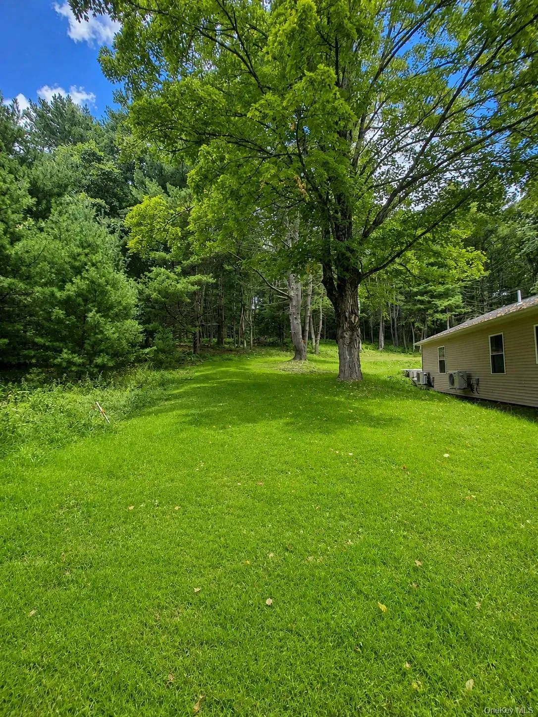 943 State Route 55, Highland, NY, 4 Bedrooms Bedrooms, 8 Rooms Rooms,2 BathroomsBathrooms,Residential,For Rent,State Route 55,0,1045115 943 State Route 55, Highland, NY, 4 Bedrooms Bedrooms, 8 Rooms Rooms,2 BathroomsBathrooms,Residential,For Rent,State Route 55,0,1045115