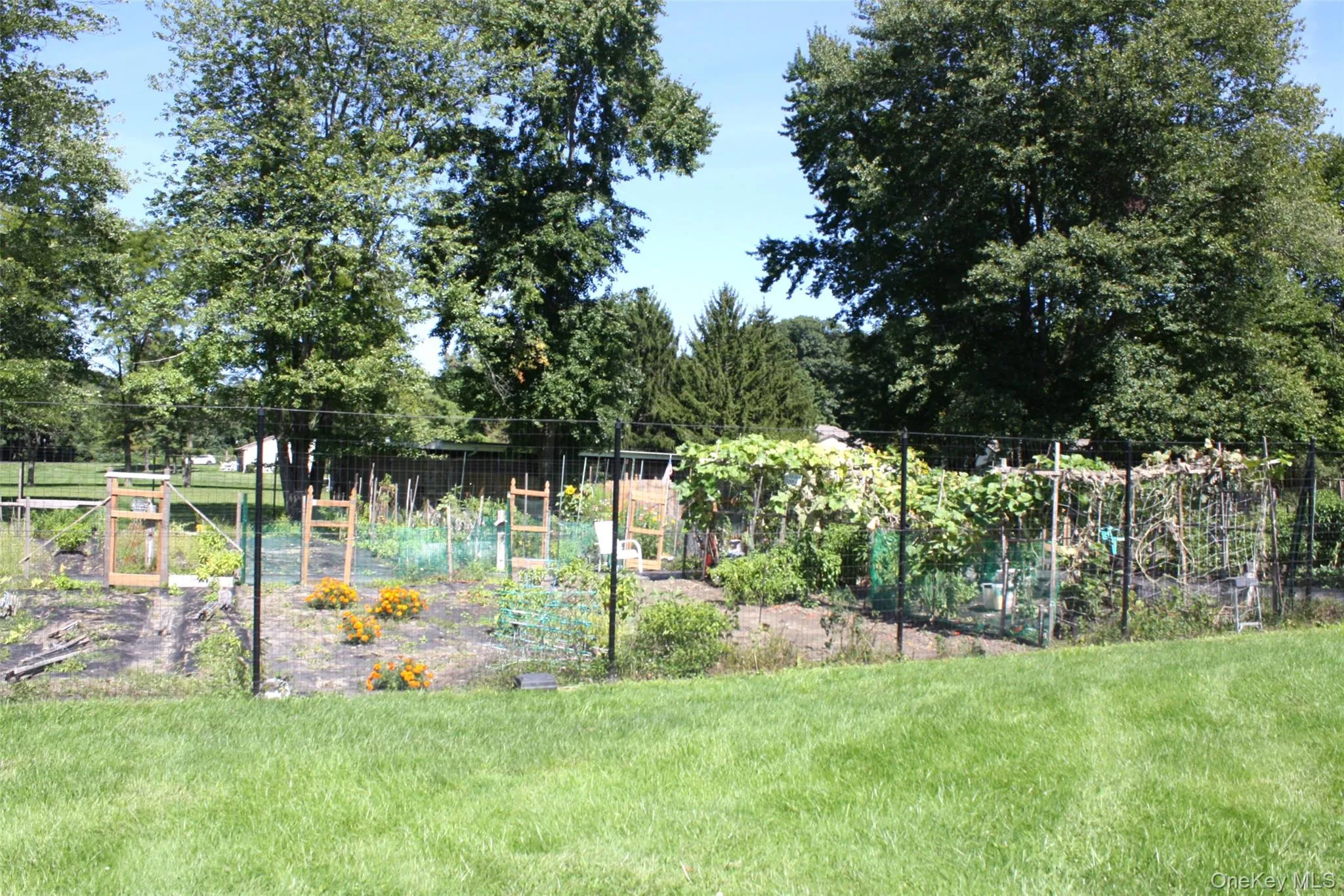 Summer plantings Summer plantings